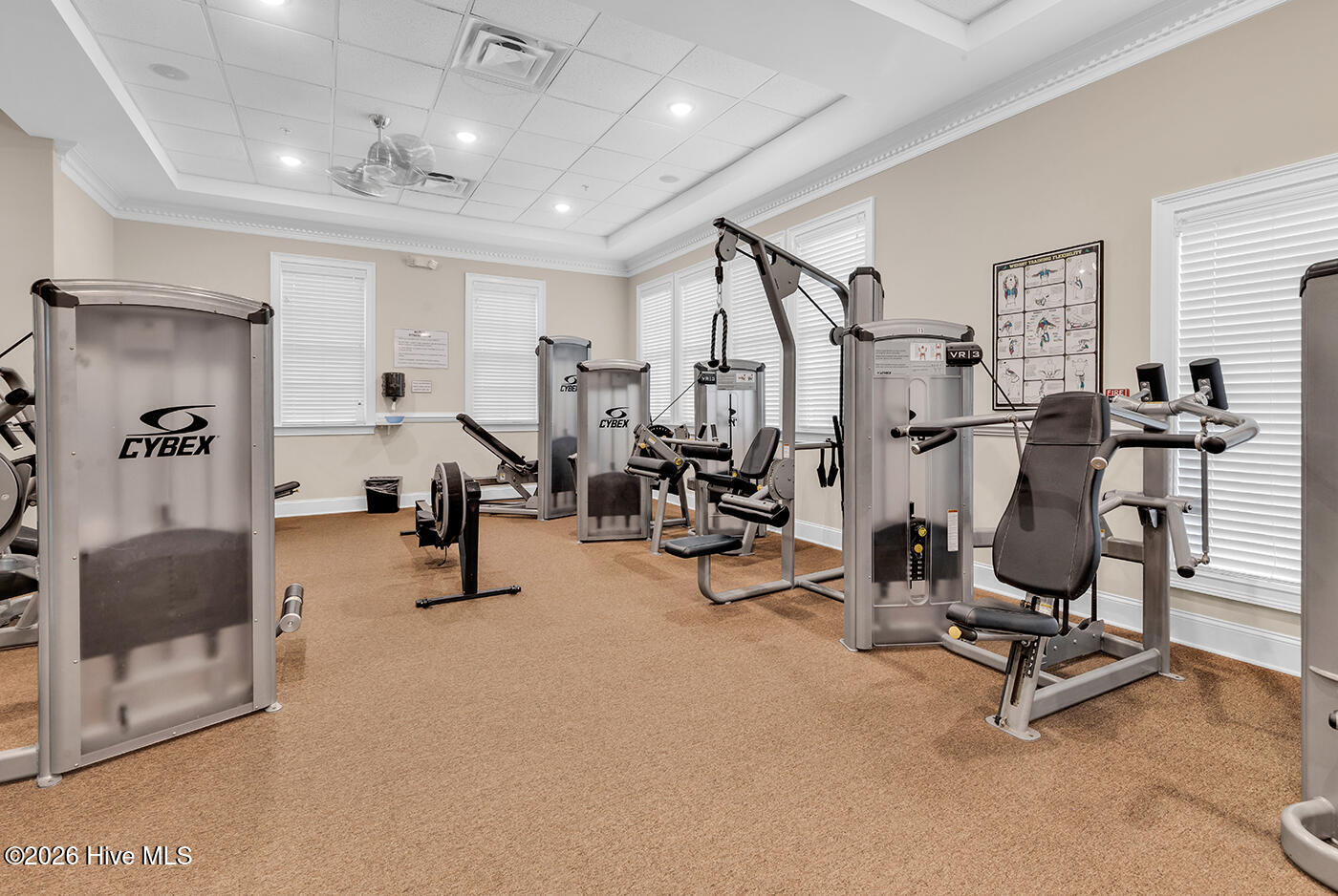 100566110 | Photo 53