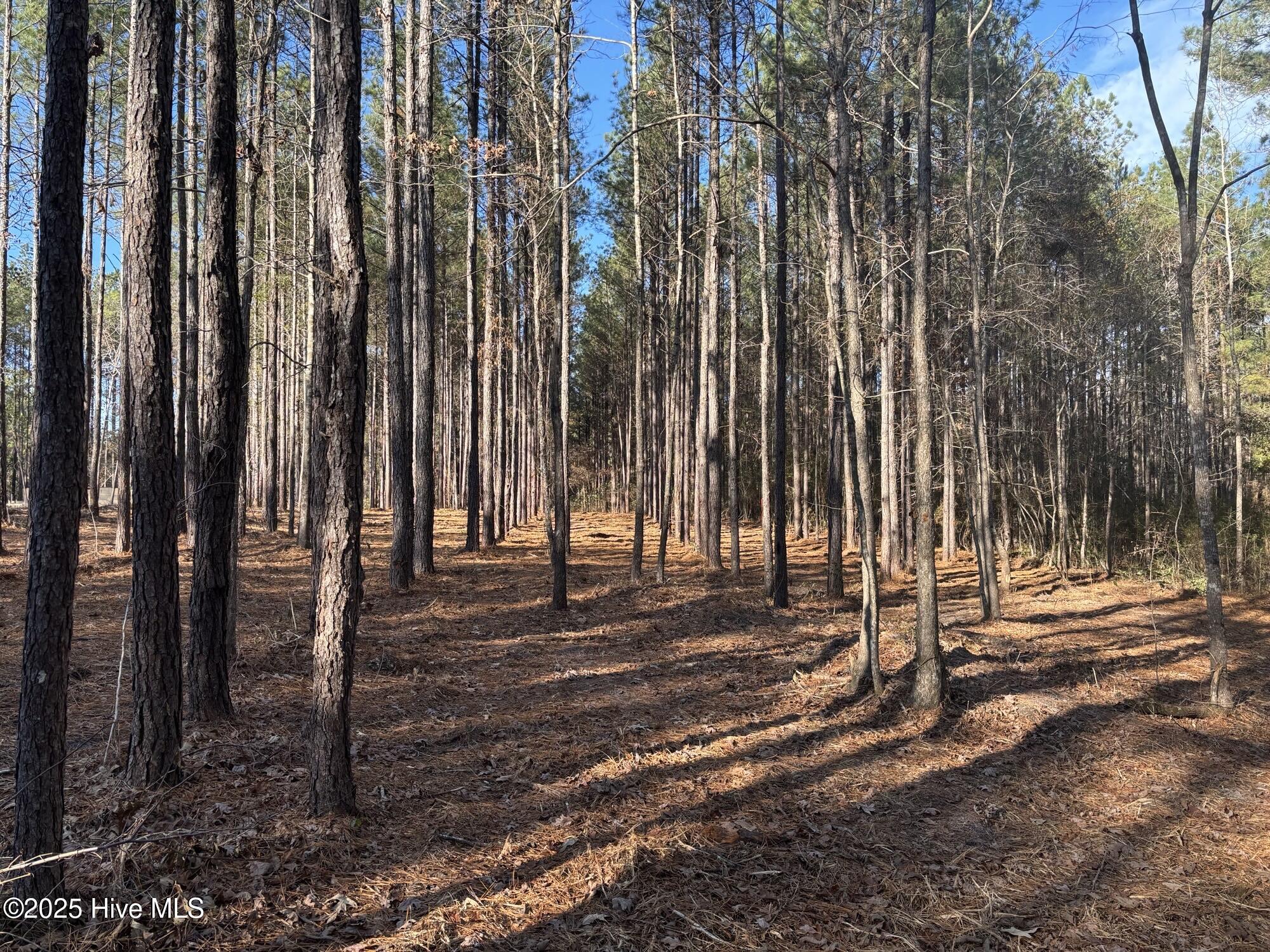 3227 Lee Landing Road, New Bern, NC, 28560