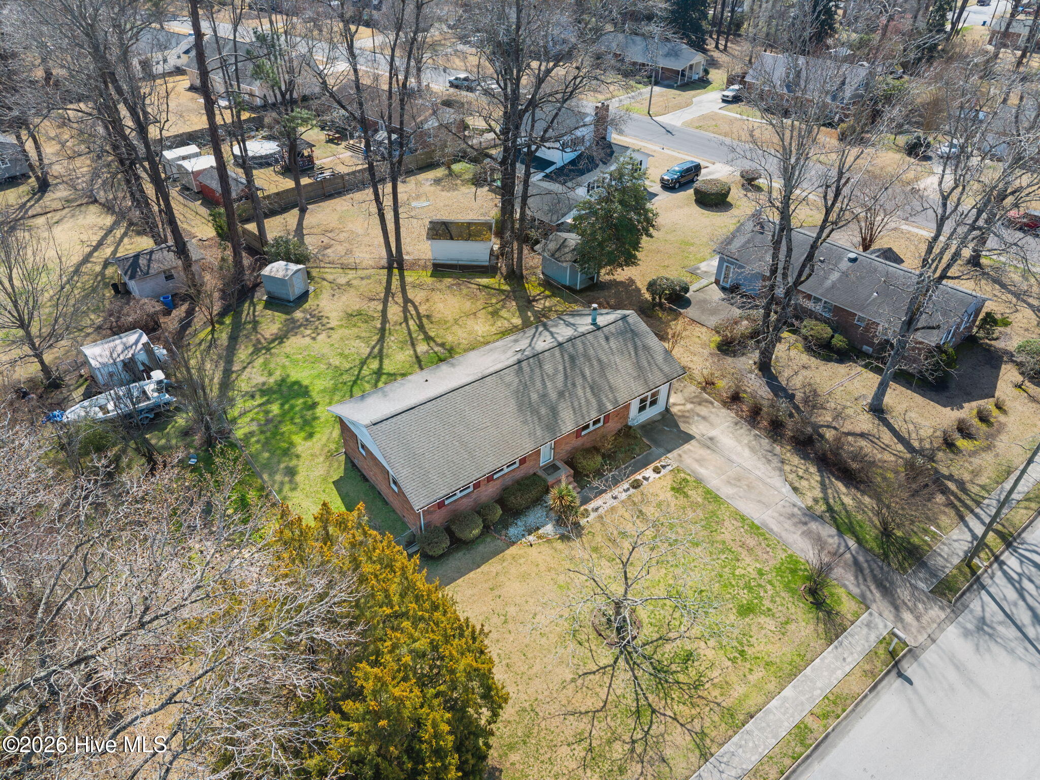 100558216 | Photo 39