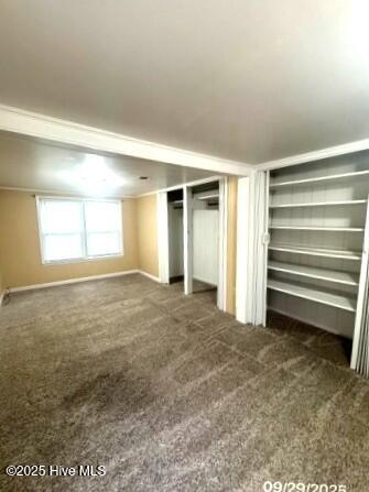 100537486 | Photo 13