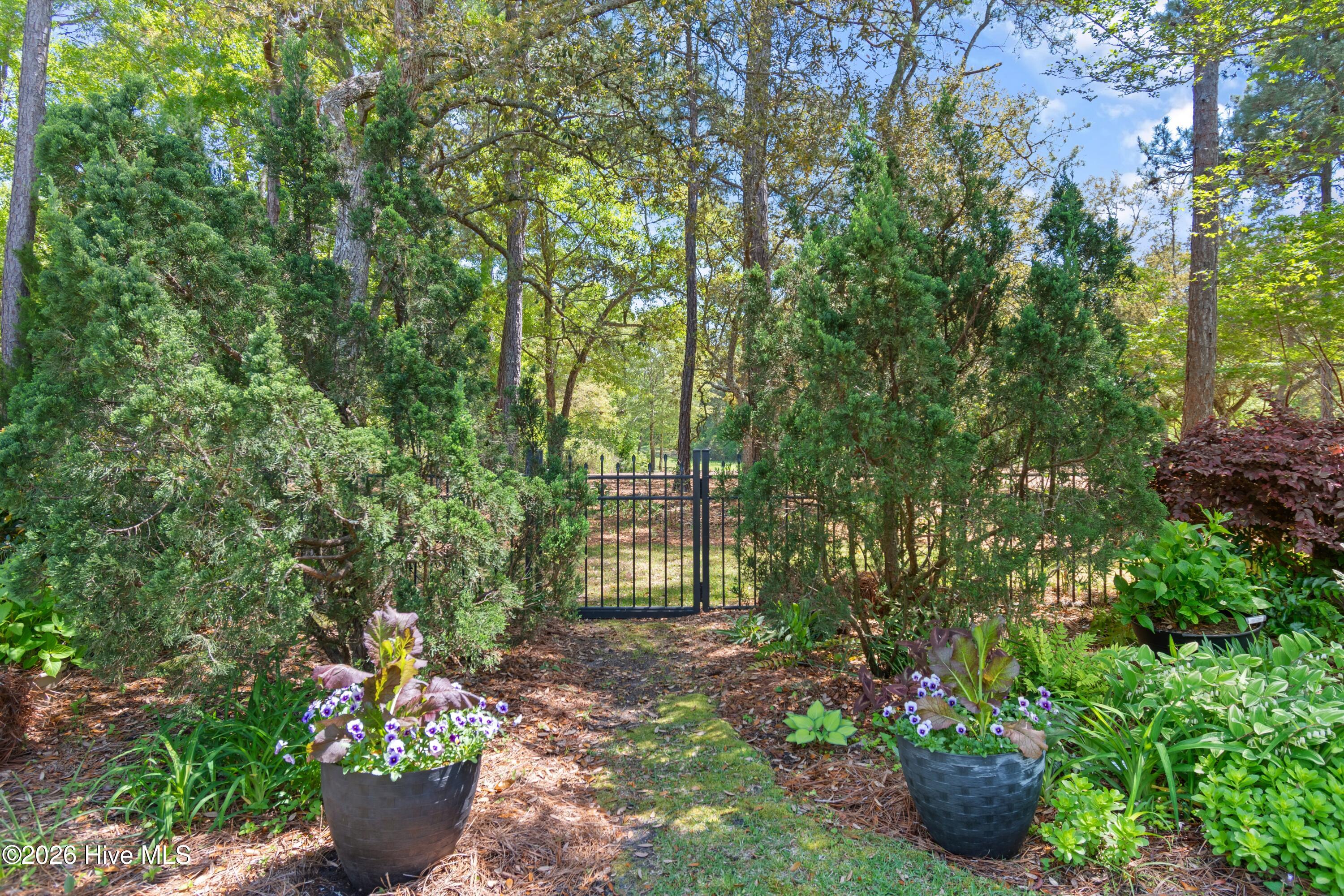 100567309 | Photo 63