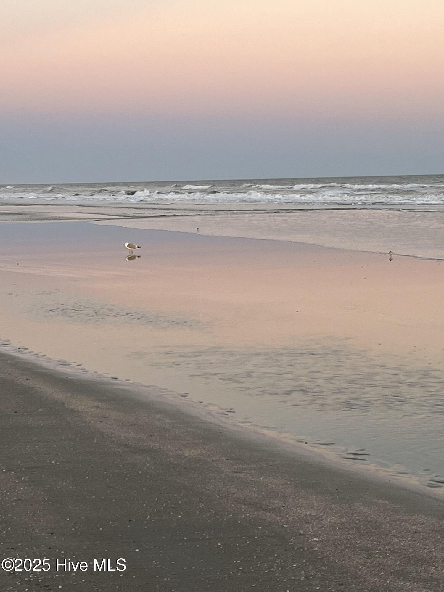 100543239 | Photo 28