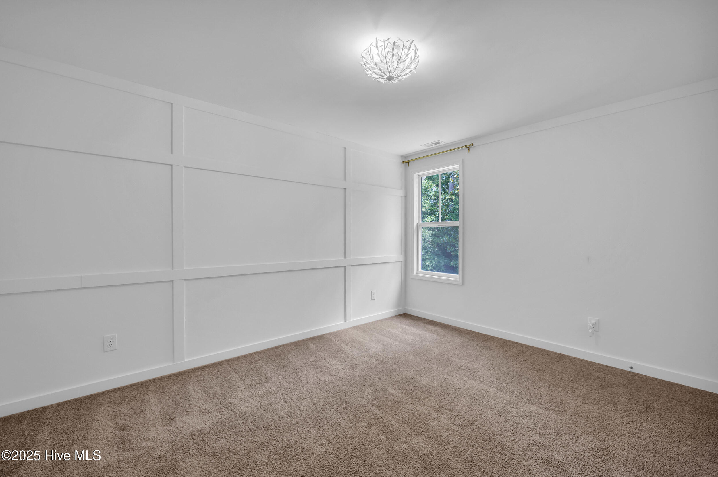 100516387 | Photo 19