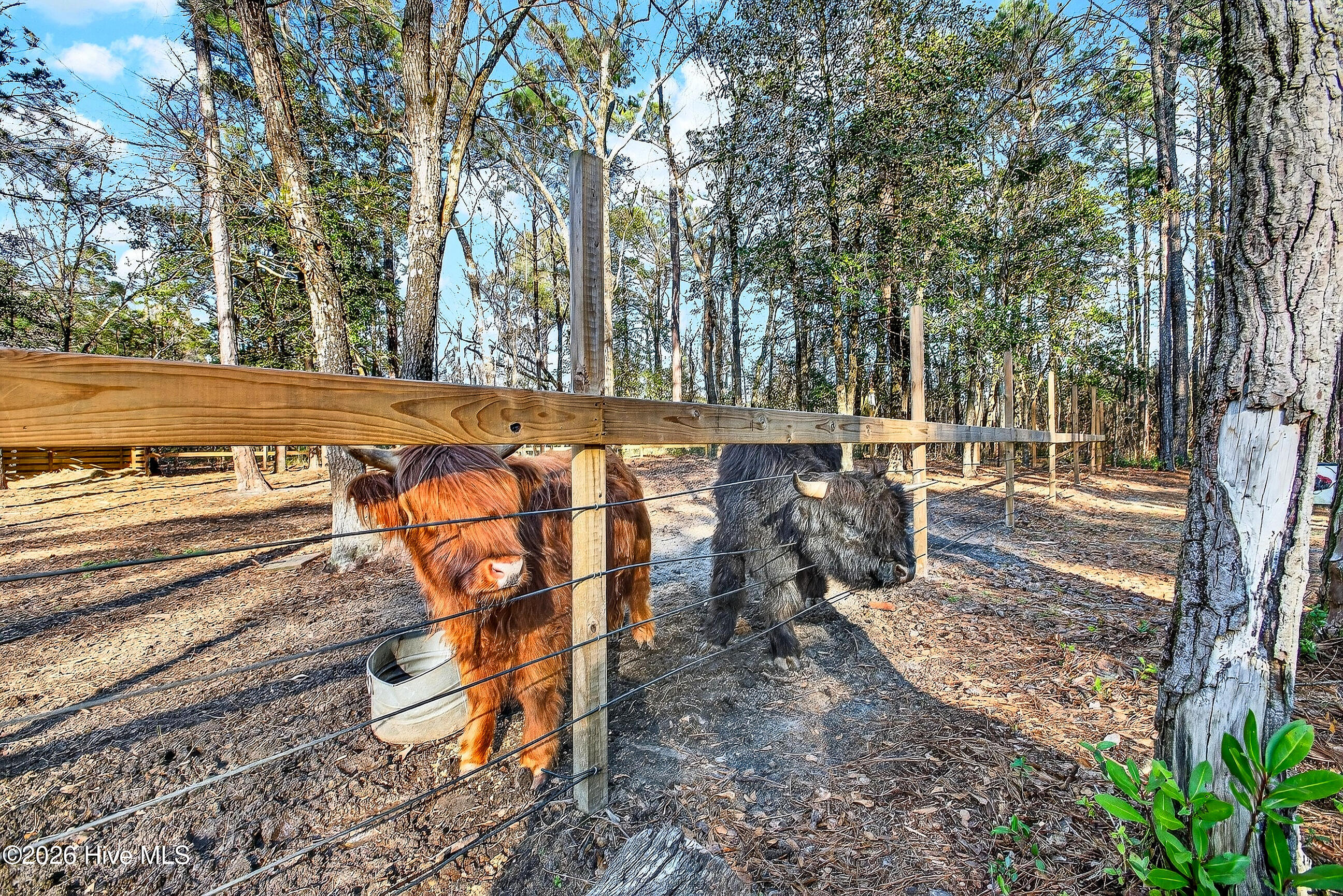 100559126 | Photo 37