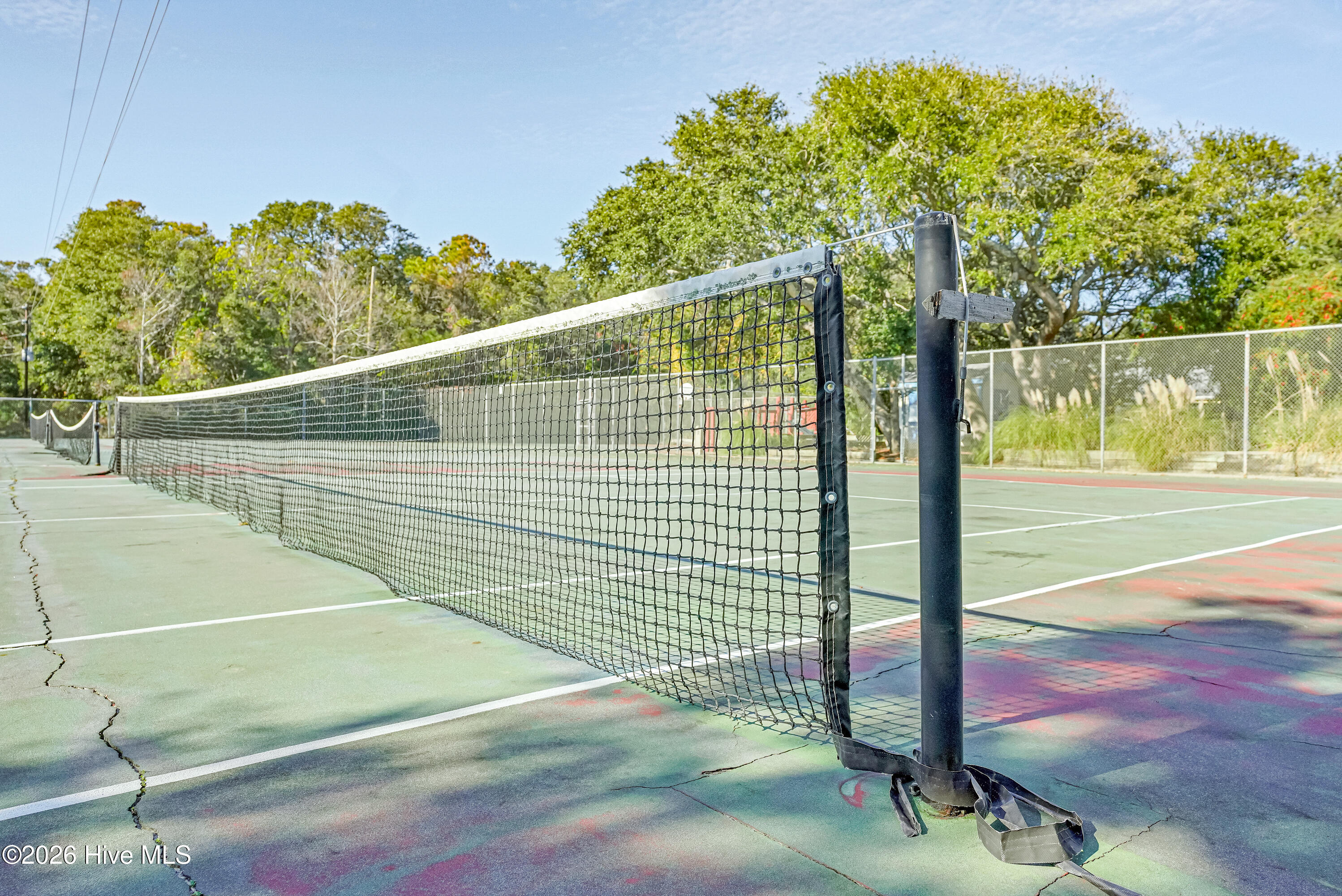 100568340 | Photo 51