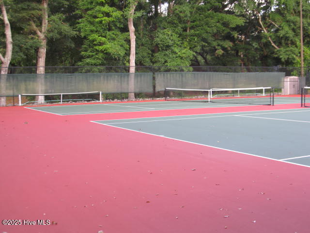 100528328 | Photo 10