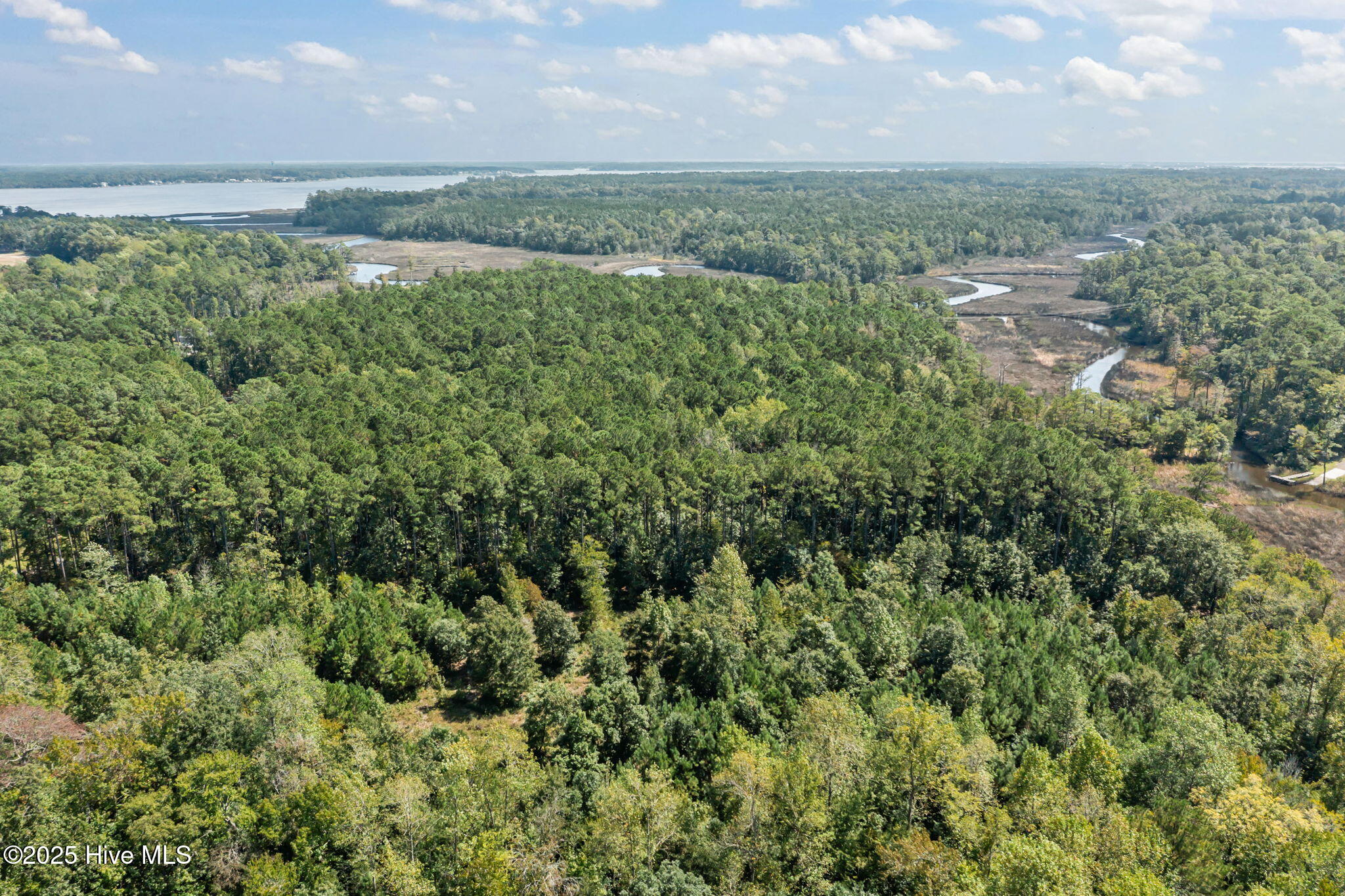 100535245 | Photo 11