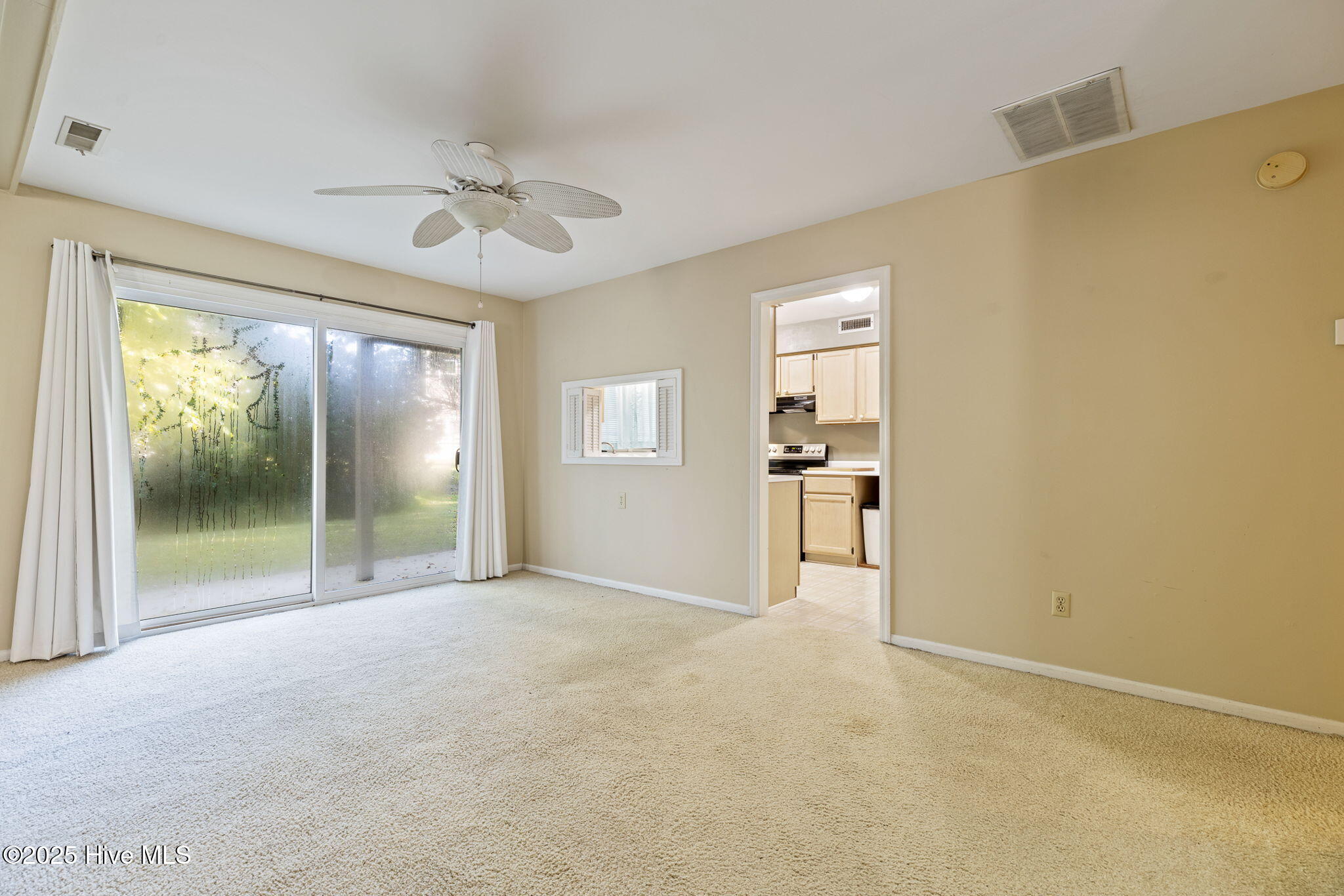 100535092 | Photo 15