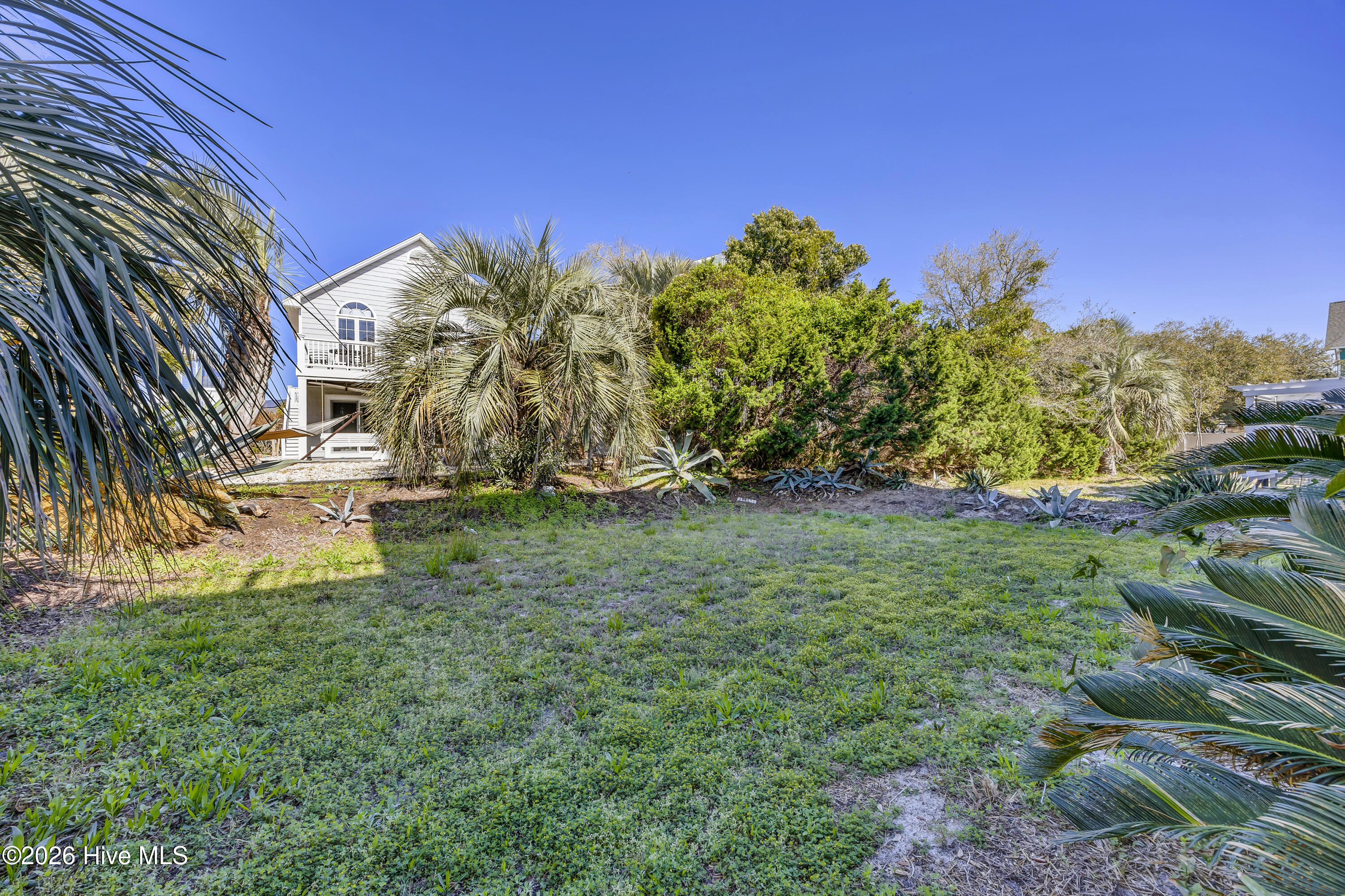 100560542 | Photo 51