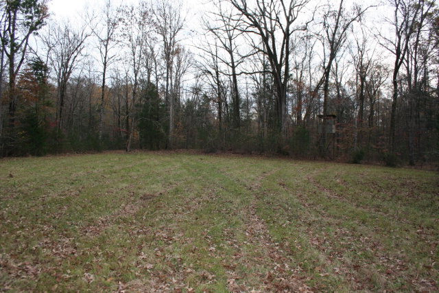 Double Branches Road, Lincolnton, GA 30817 Listing Photo  16