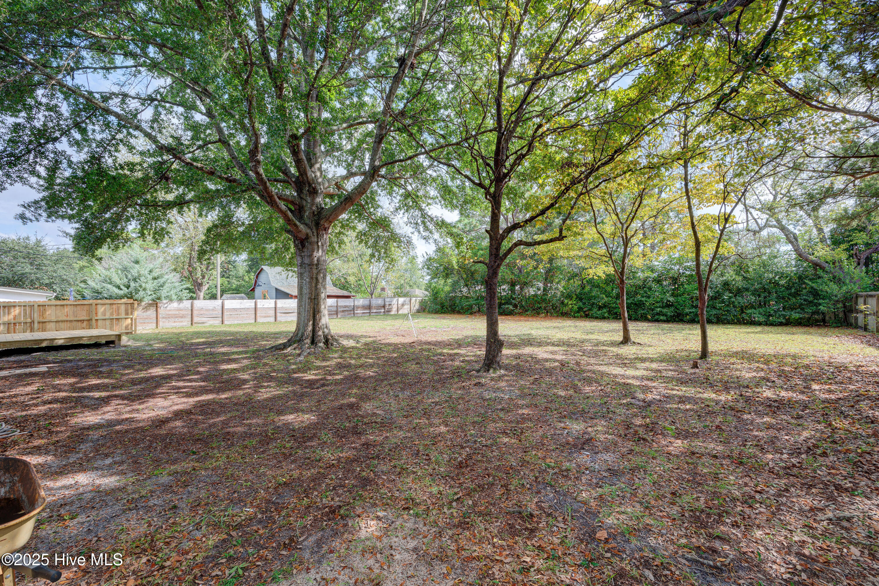 100534169 | Photo 38