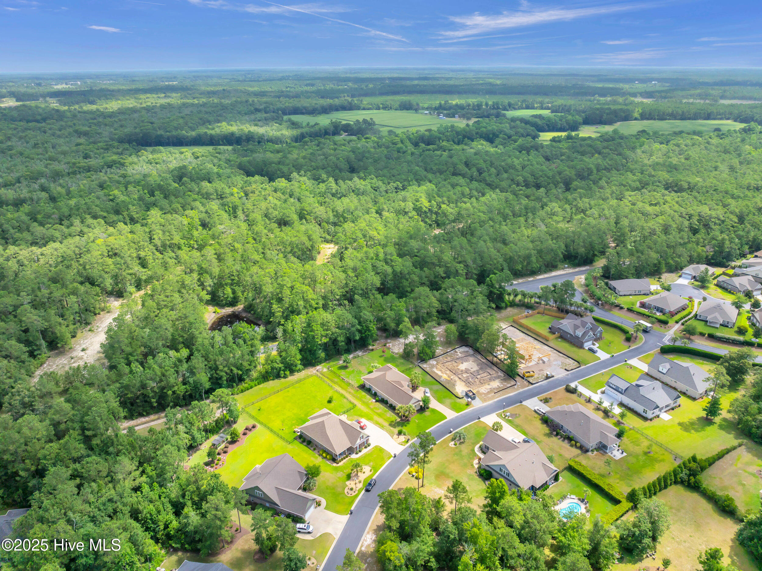 100517542 | Photo 47