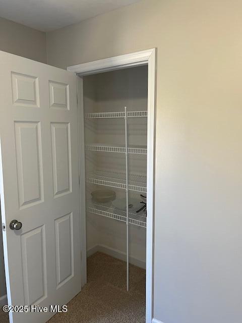 100537442 | Photo 26