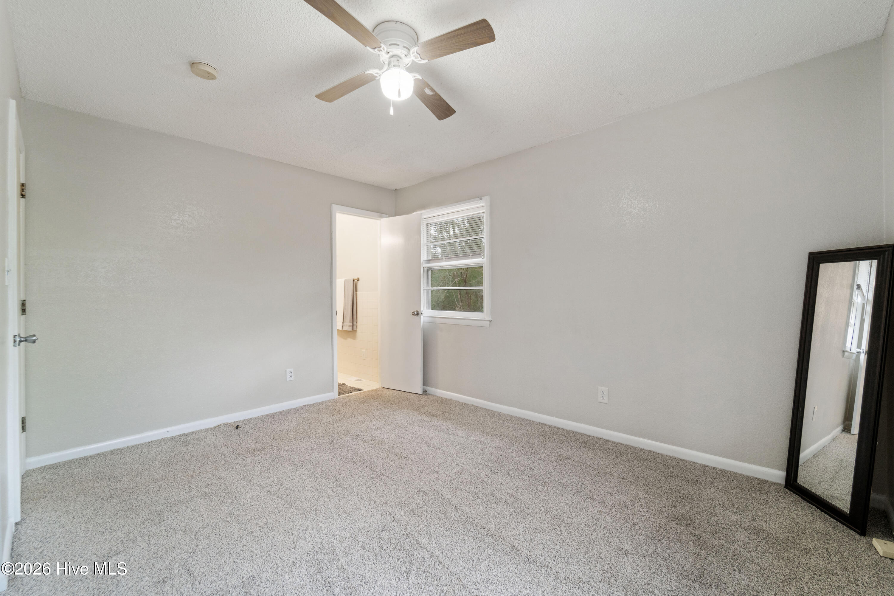 100551090 | Photo 38