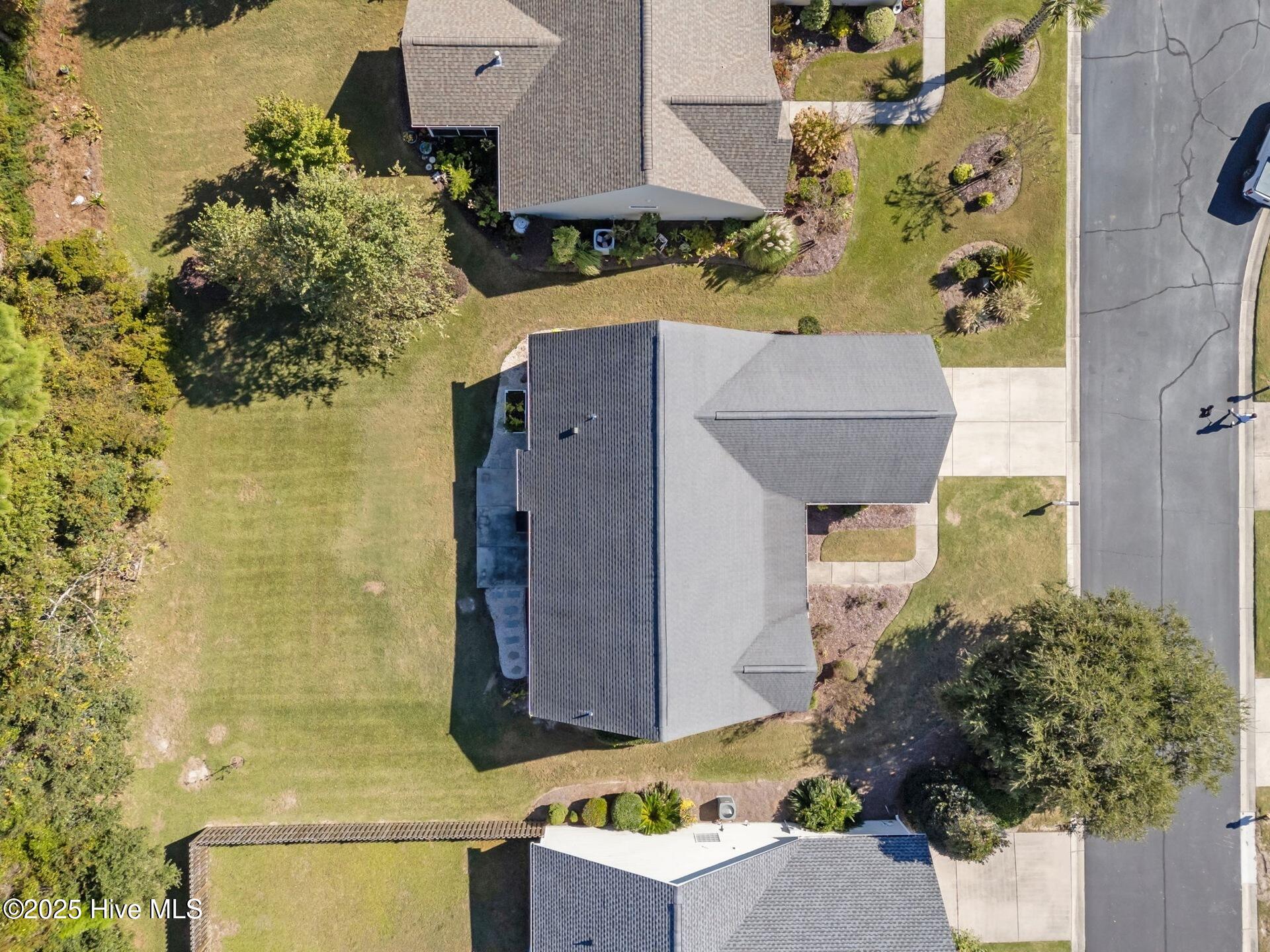 100537665 | Photo 43