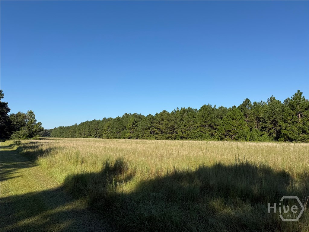 2nd image of 0 Sunbury Rd #Tract 4, Claxton, GA 30417 | MLS# SA339073