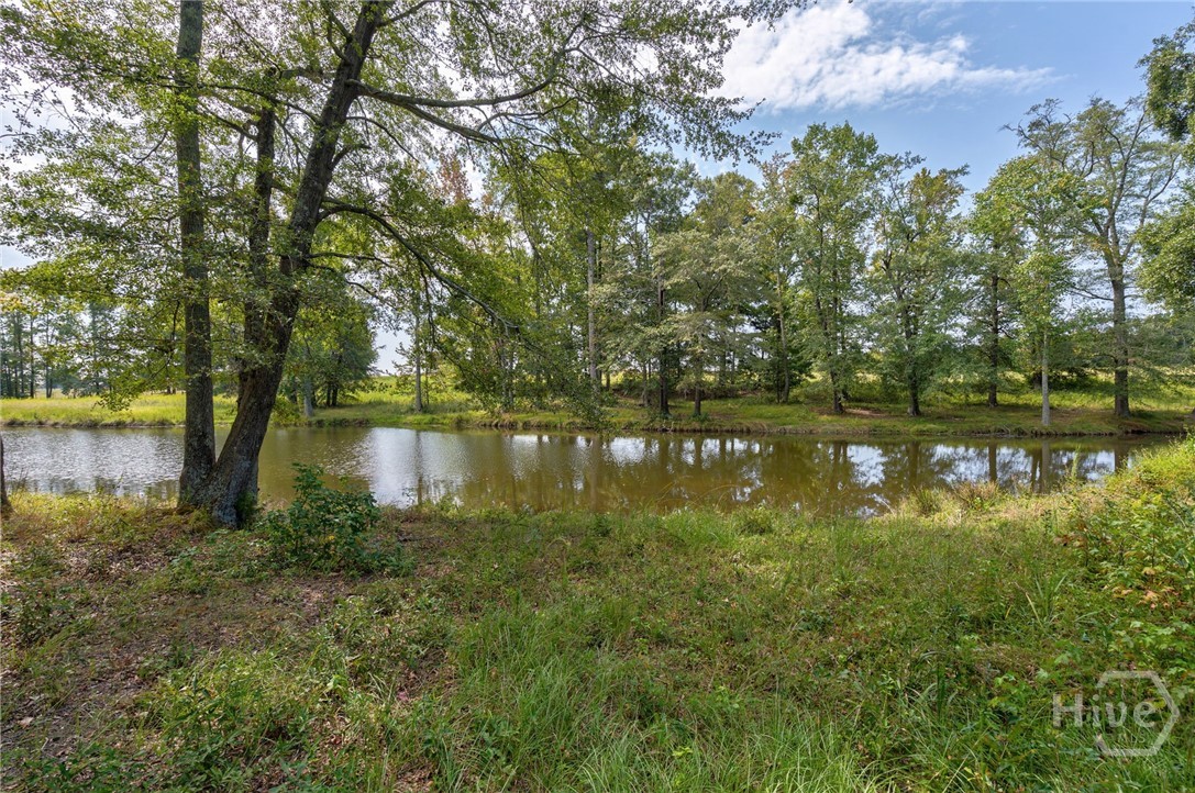 Property at 00 Old Bishop Road