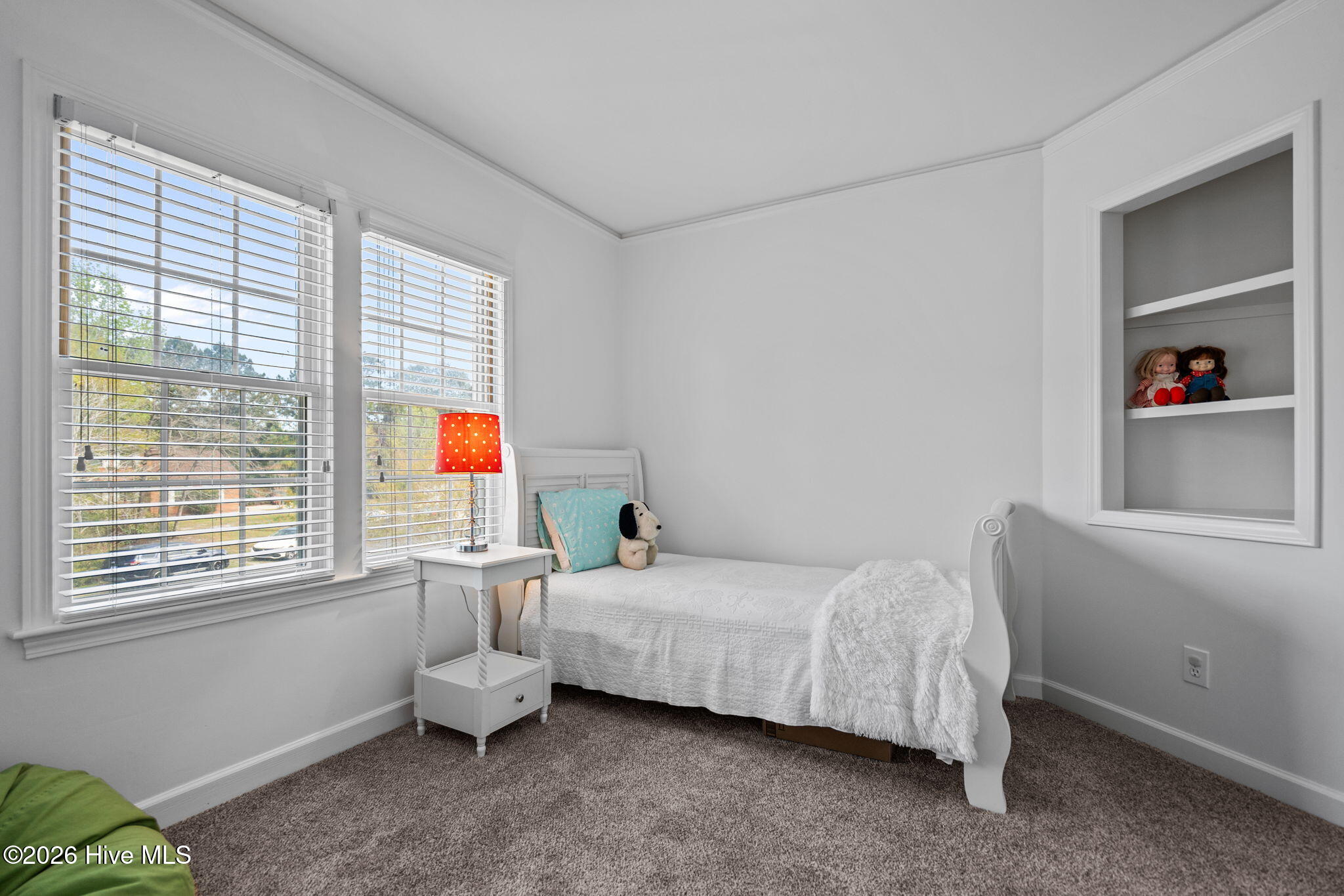 100564345 | Photo 30