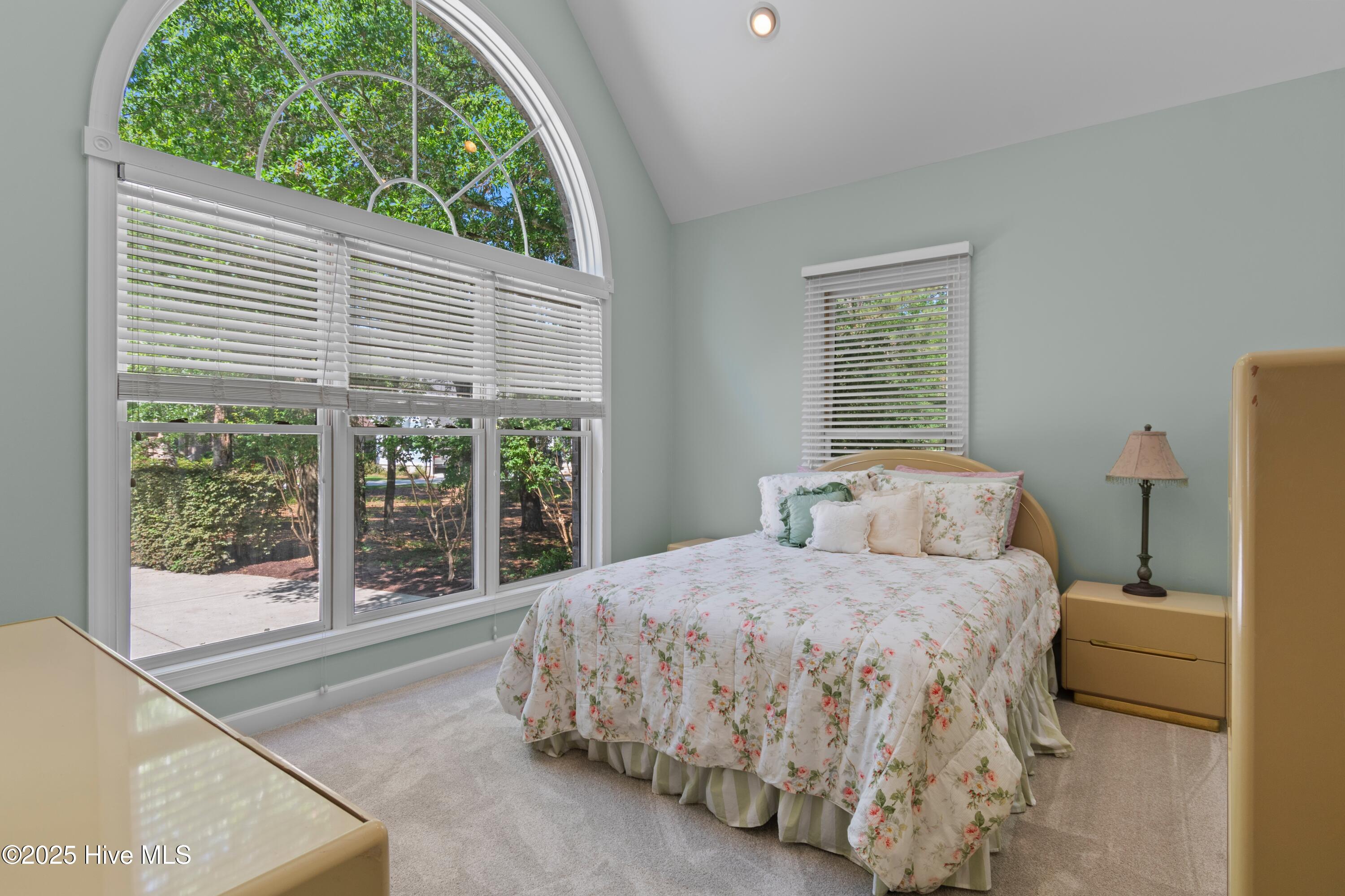 100509392 | Photo 40