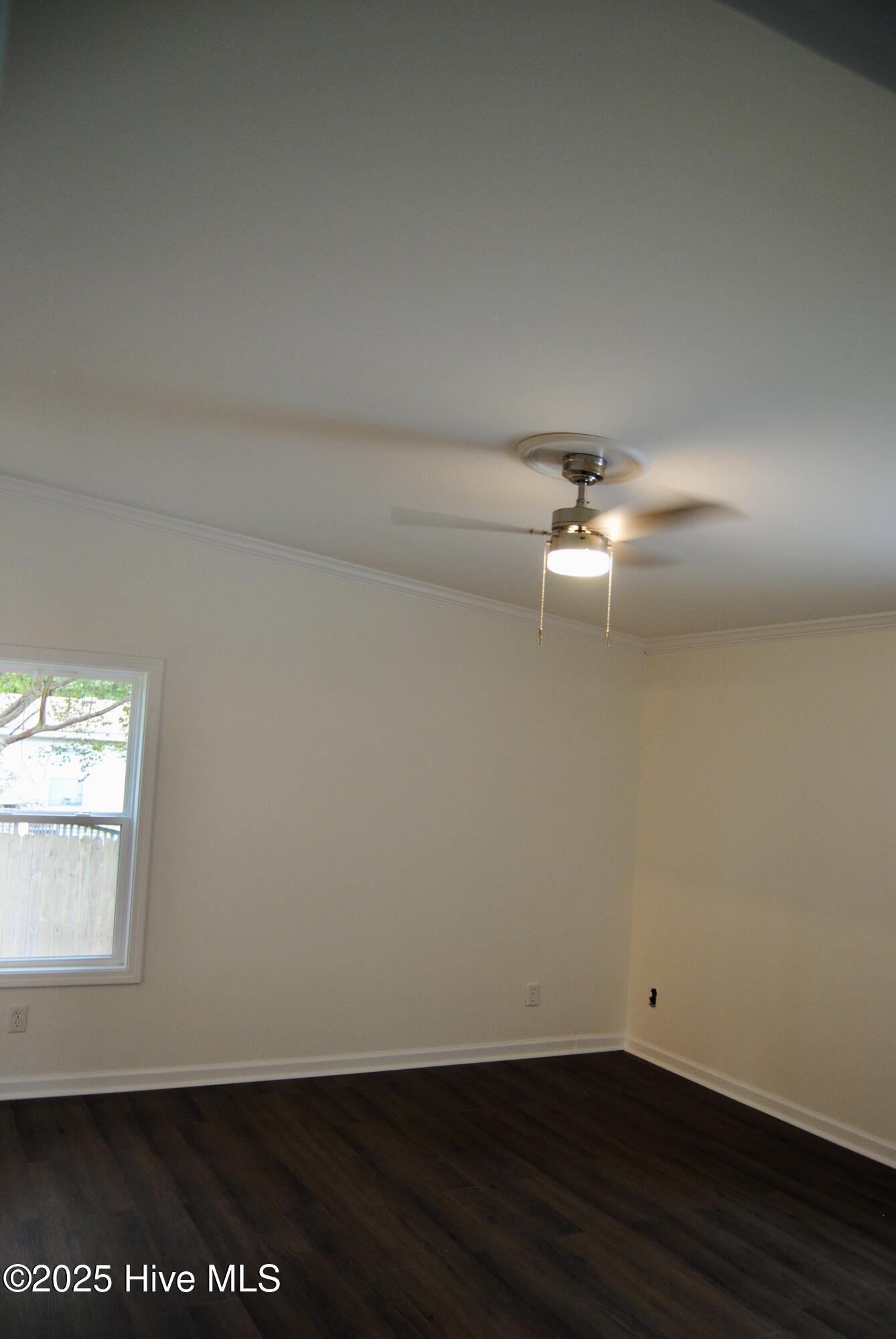 100533223 | Photo 43