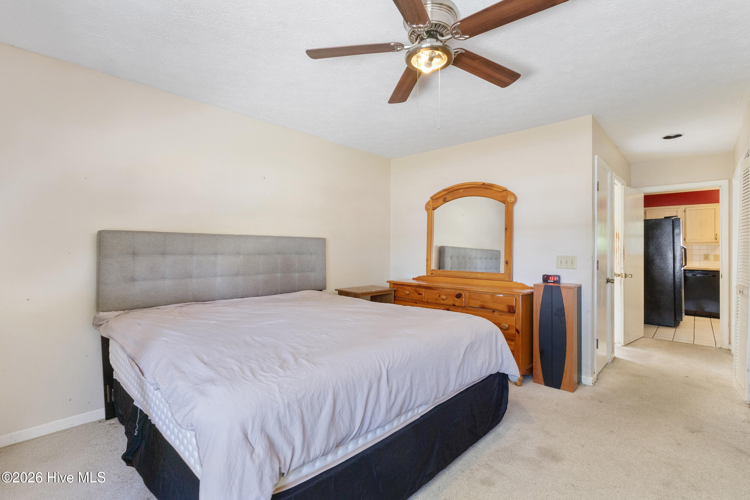 100568035 | Photo 16