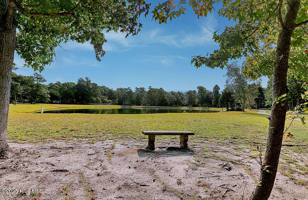 100499257 | Photo 64