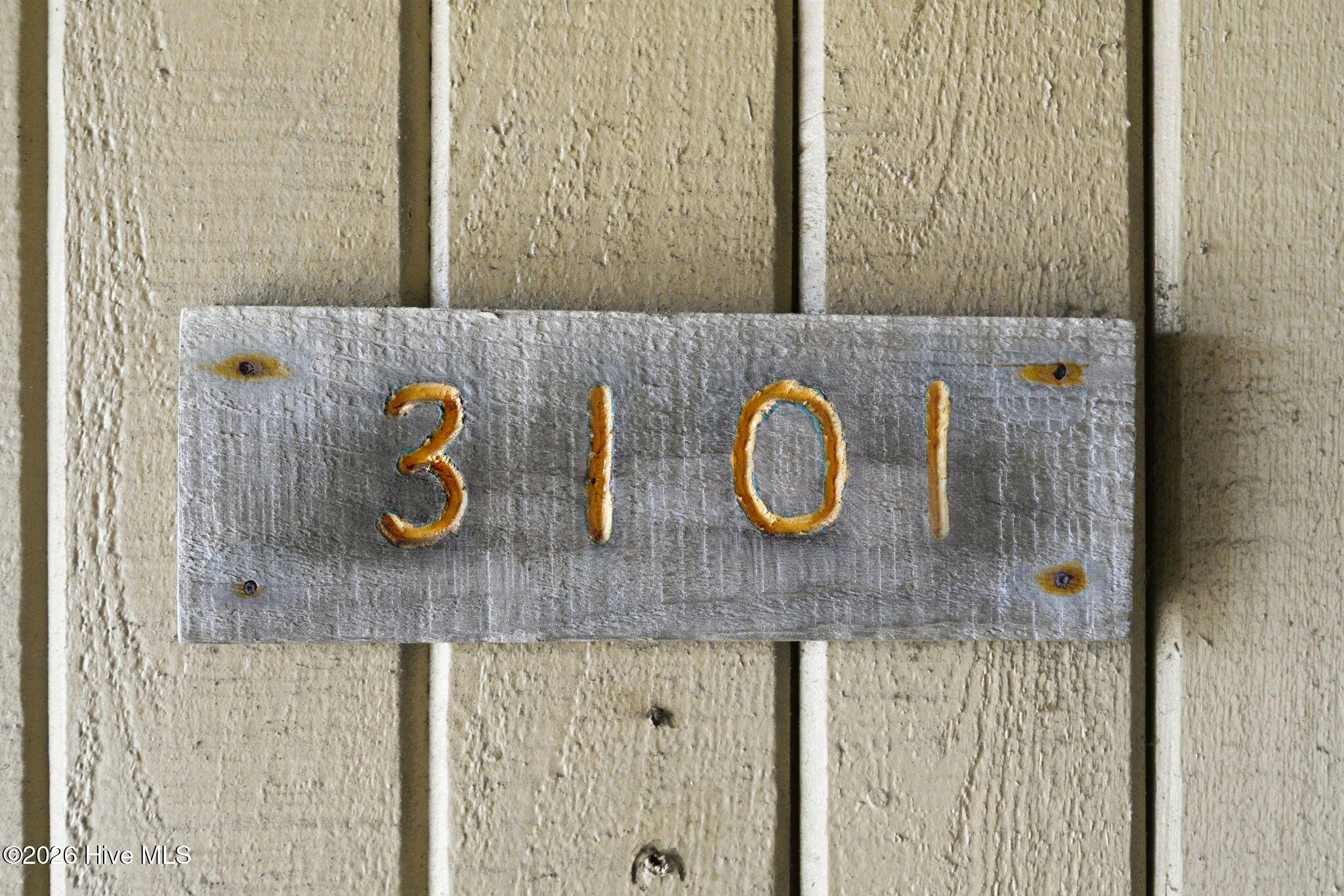 100581085 | Photo 2