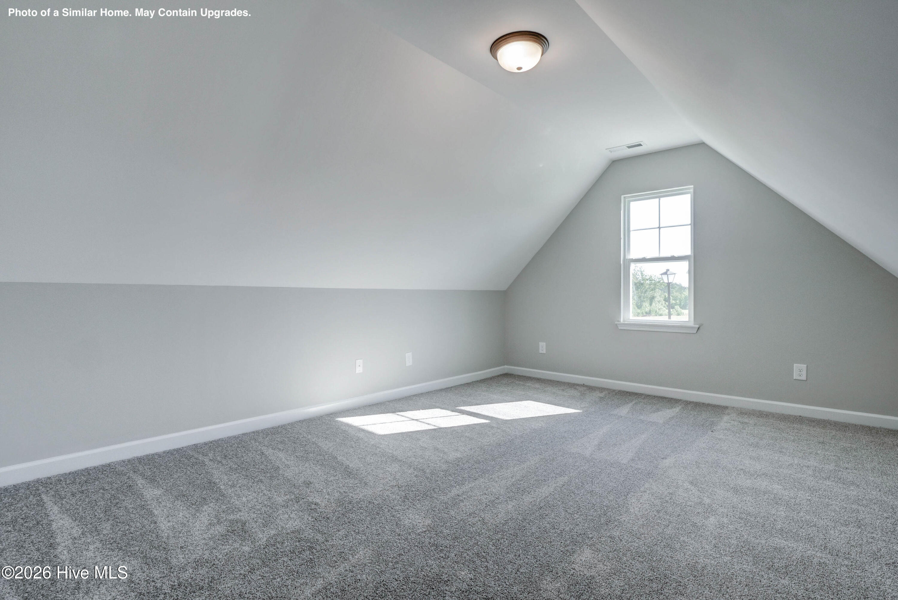 100567172 | Photo 24