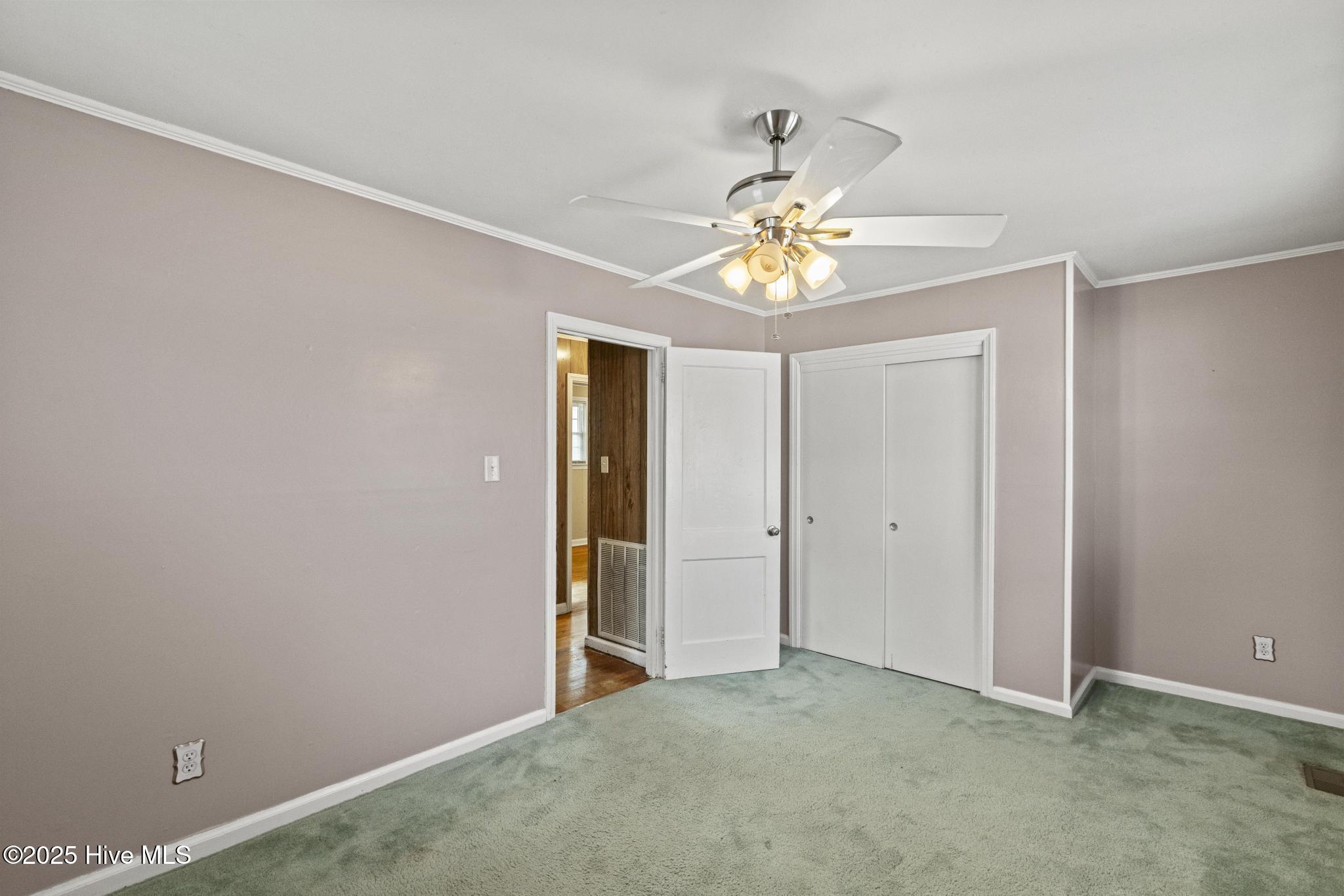 100532196 | Photo 14