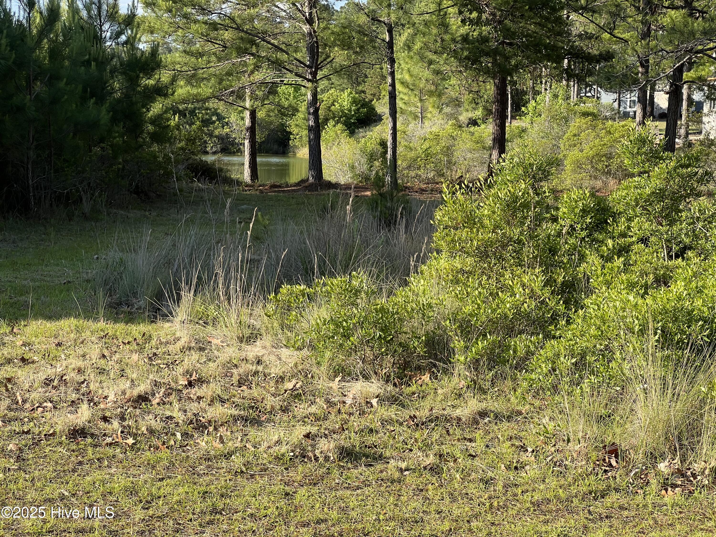 100509687 | Photo 16