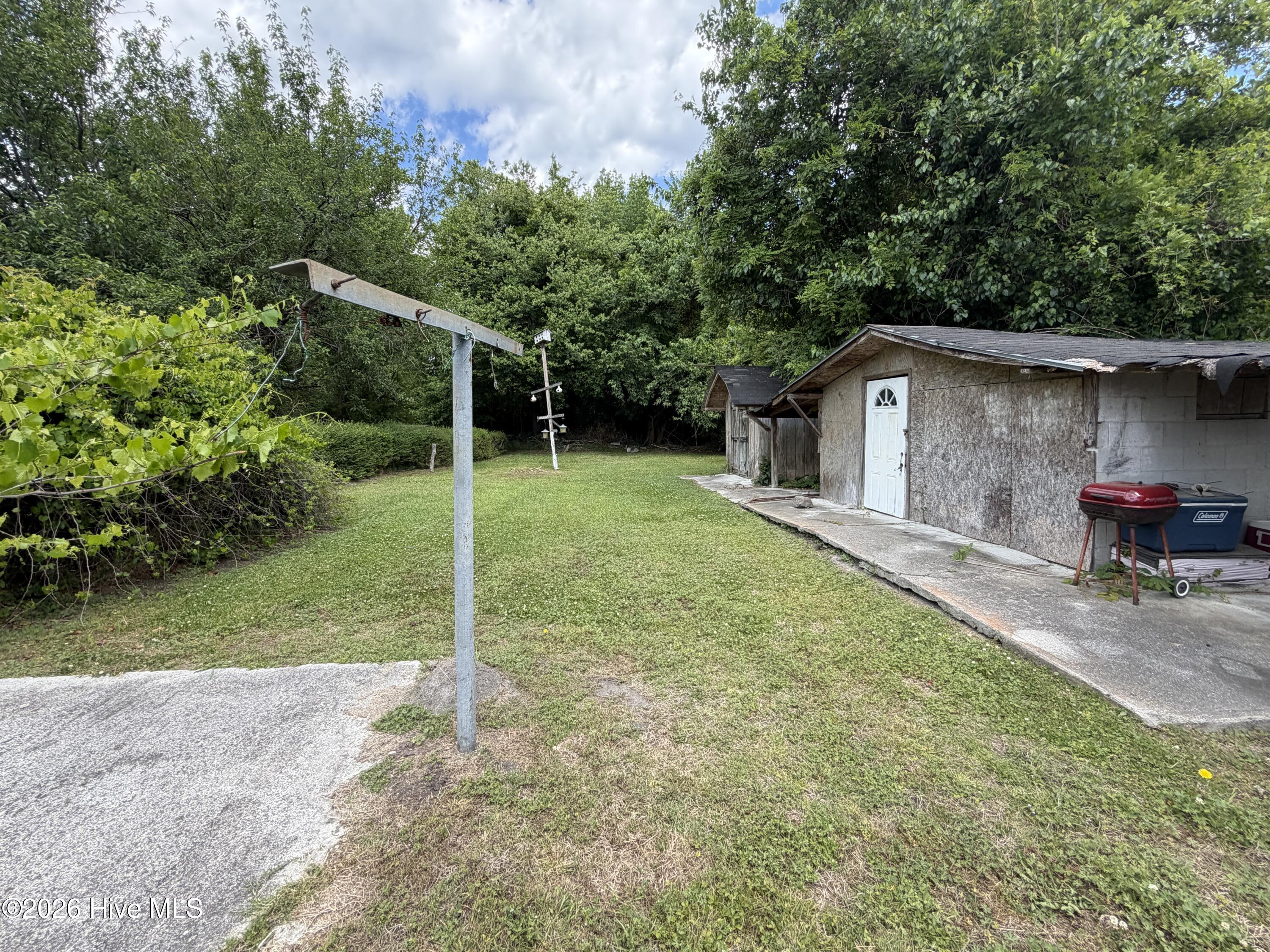 100568518 | Photo 21