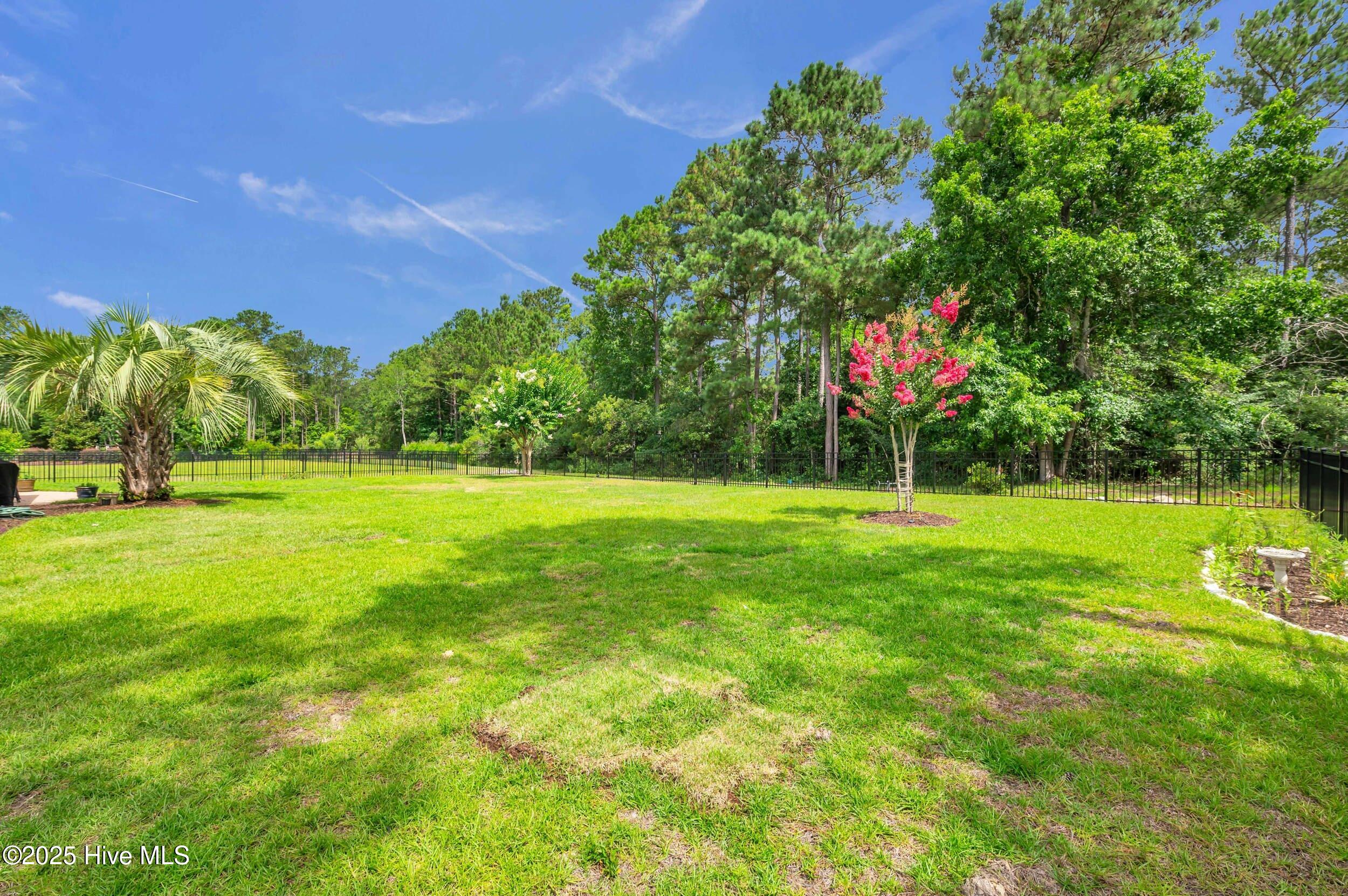 100517542 | Photo 45