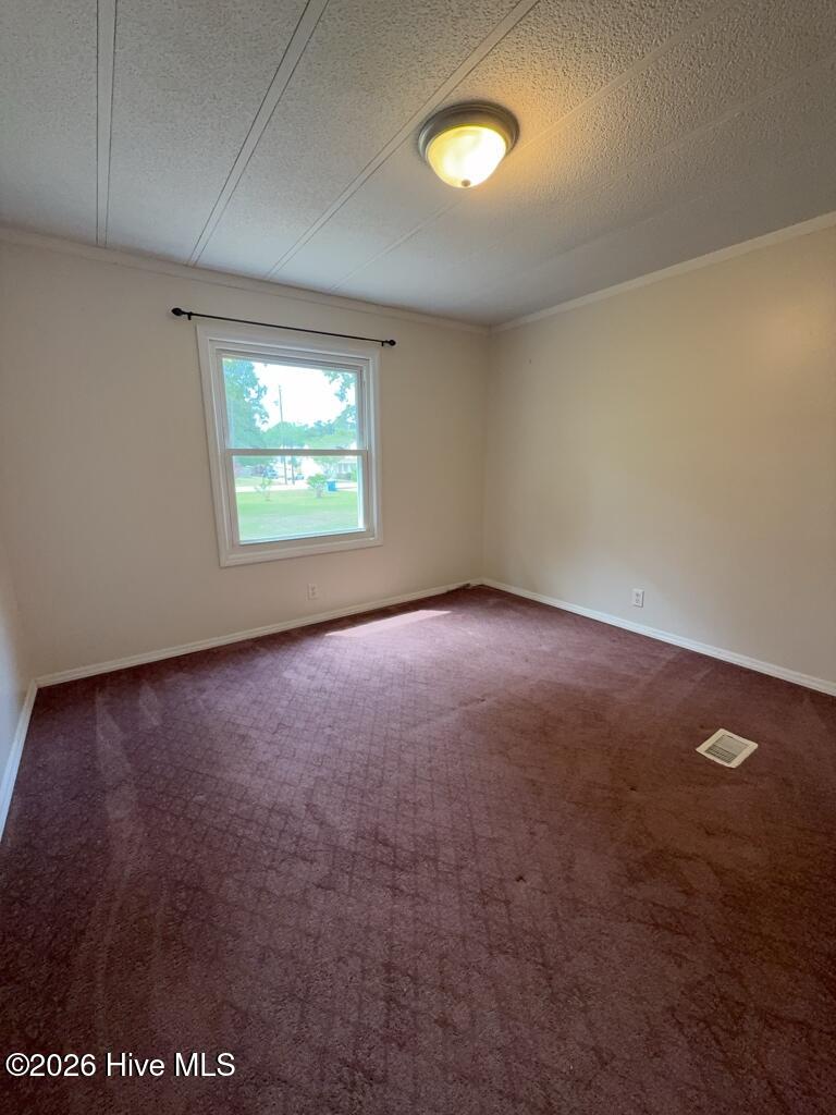 100570094 | Photo 16