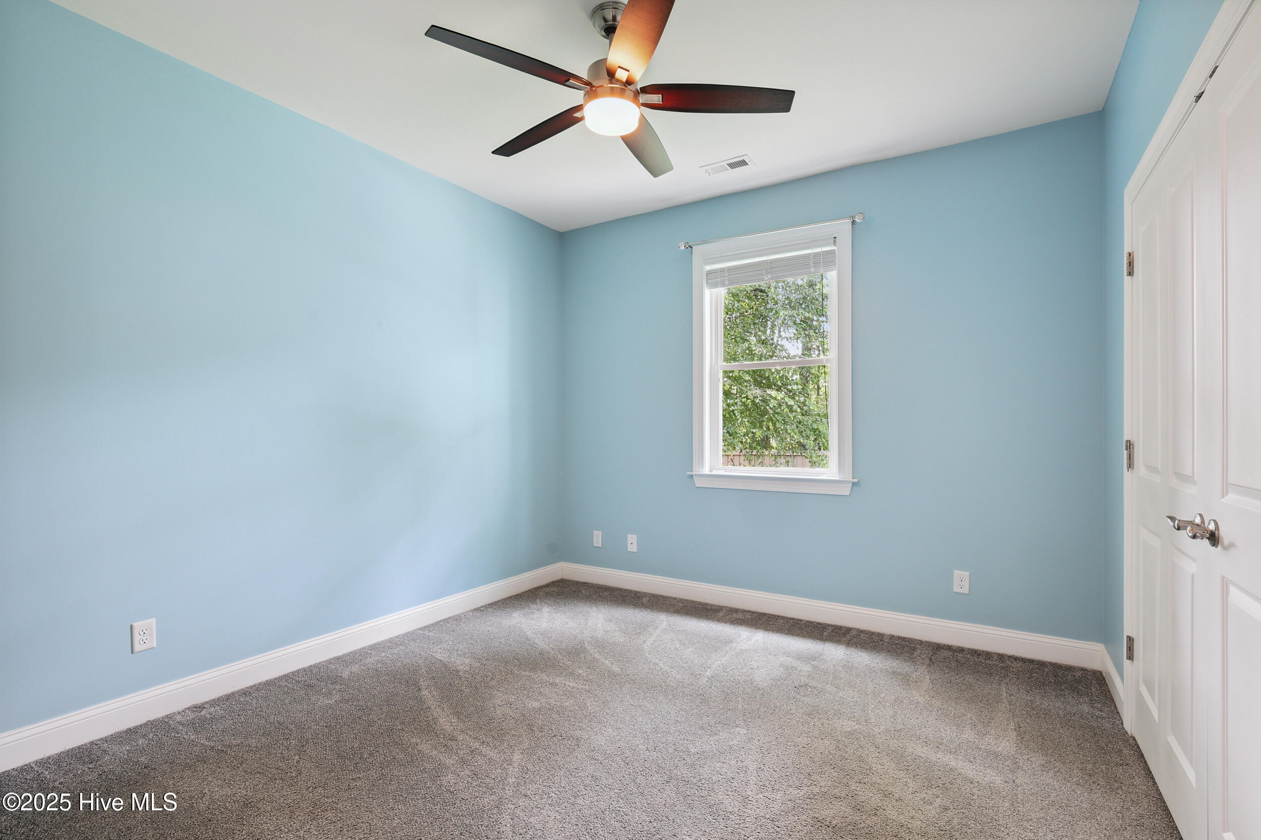 100518241 | Photo 23