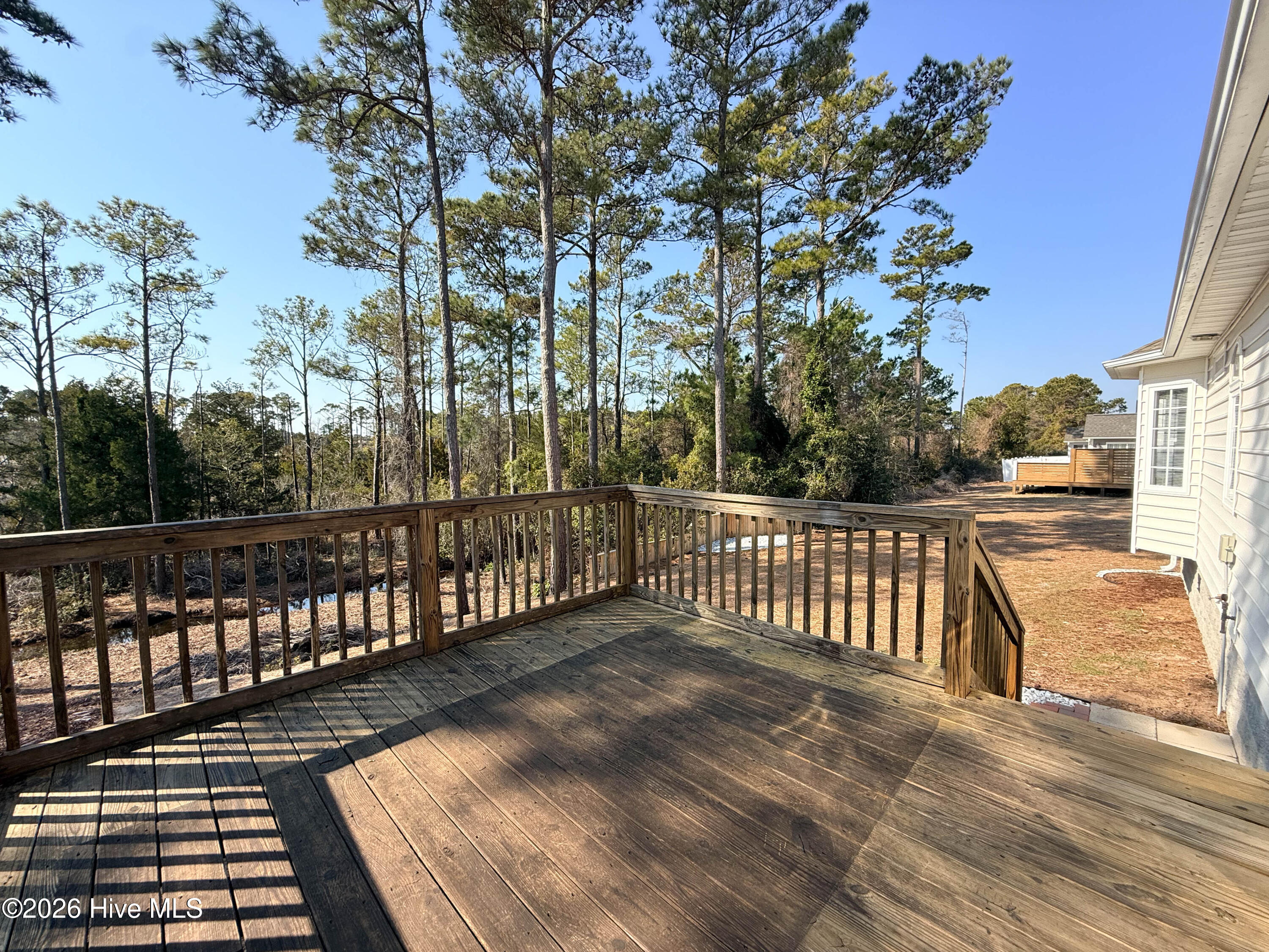 100554252 | Photo 42