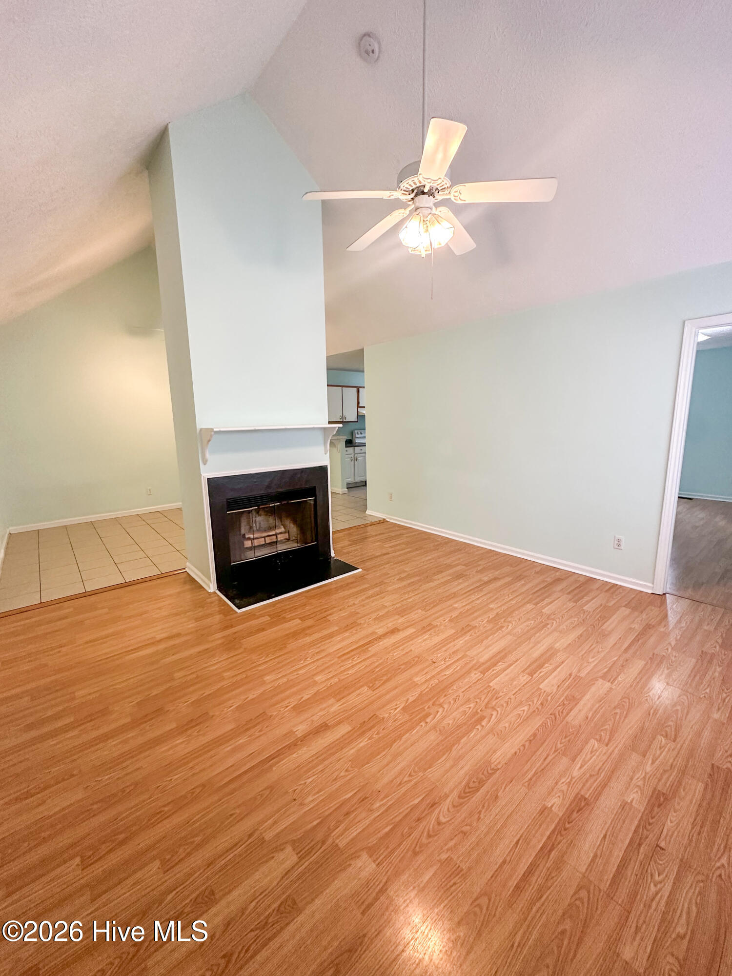 100553133 | Photo 12