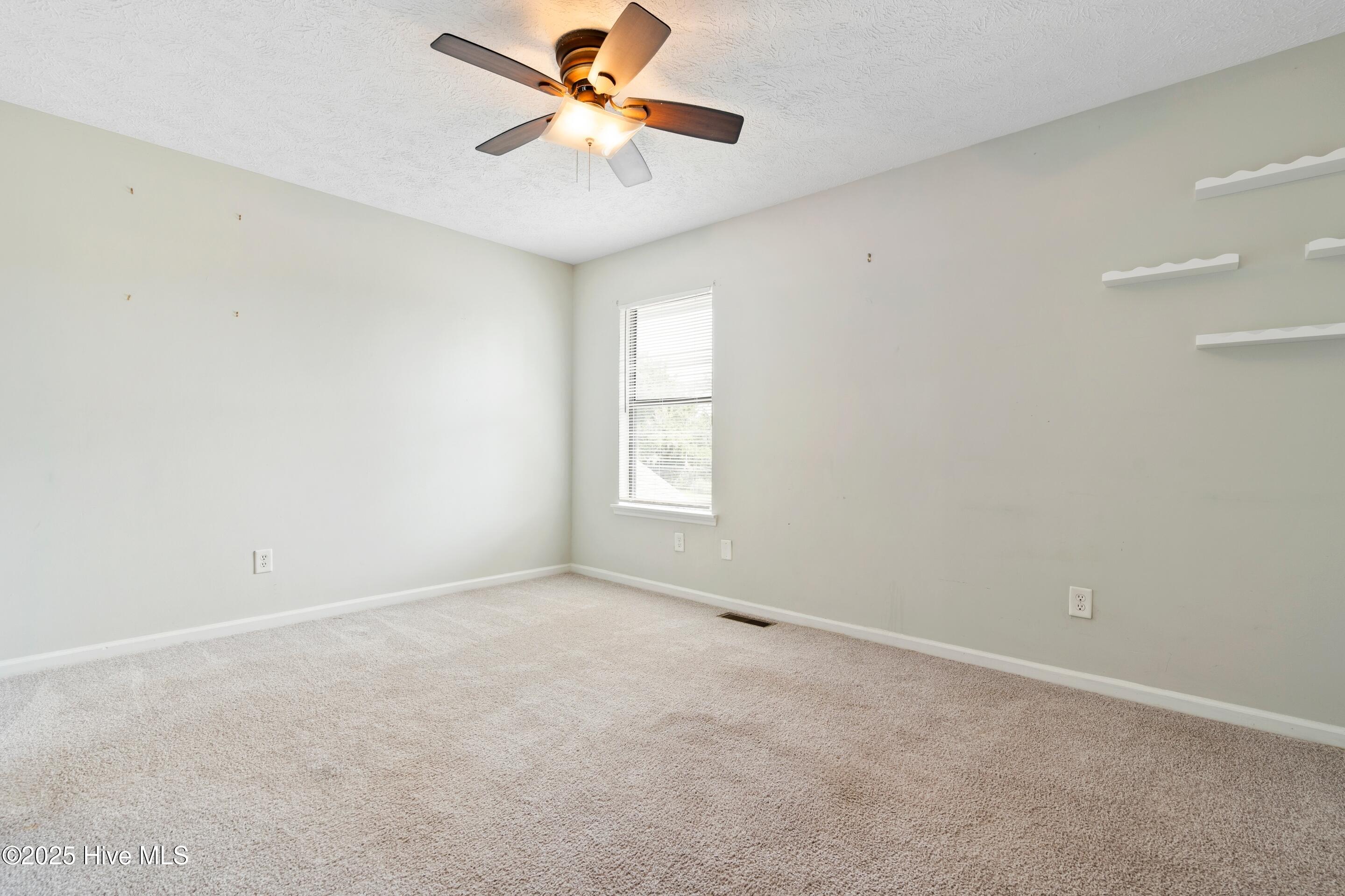 100517492 | Photo 23