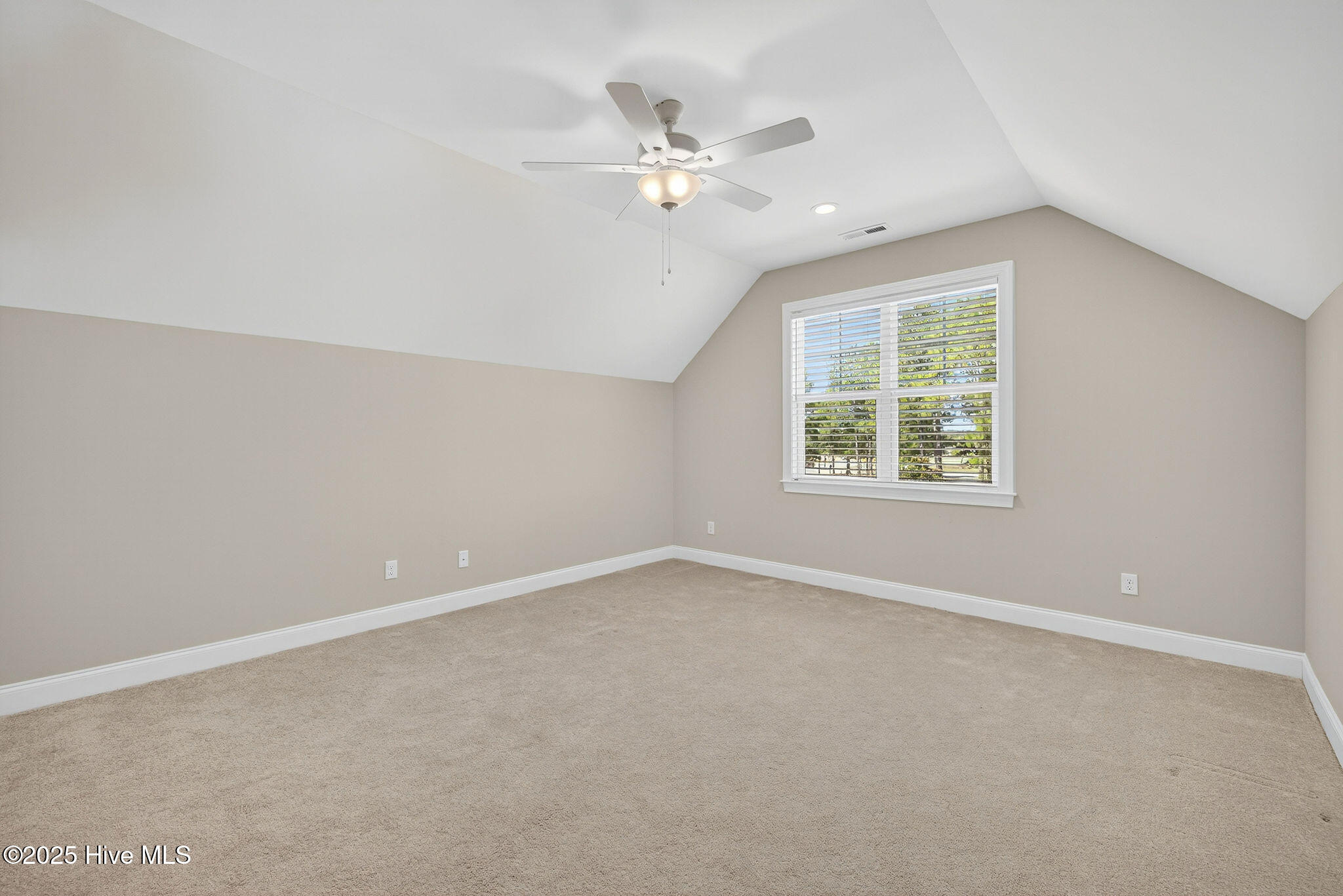 100529139 | Photo 41