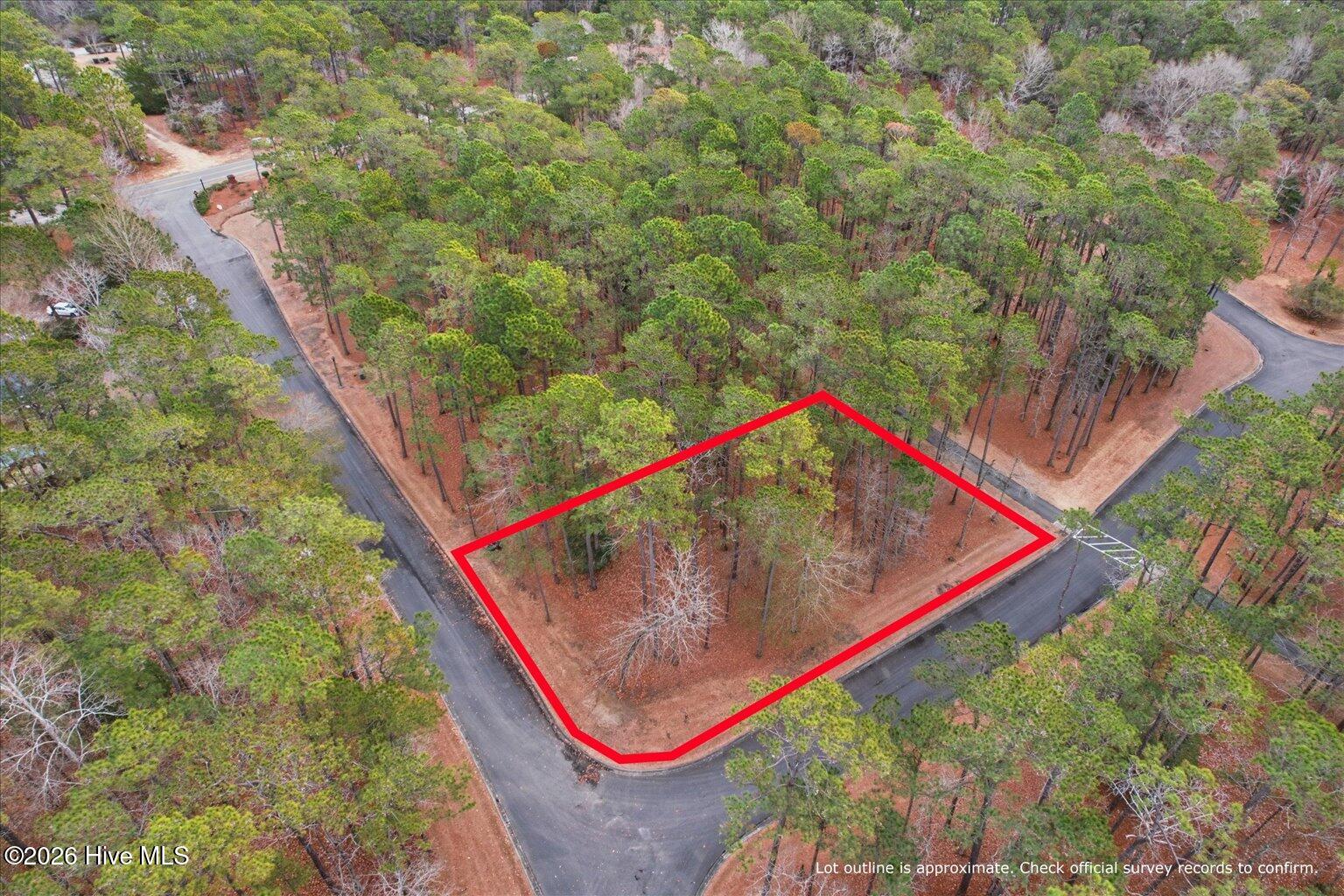 100555112 | Photo 55