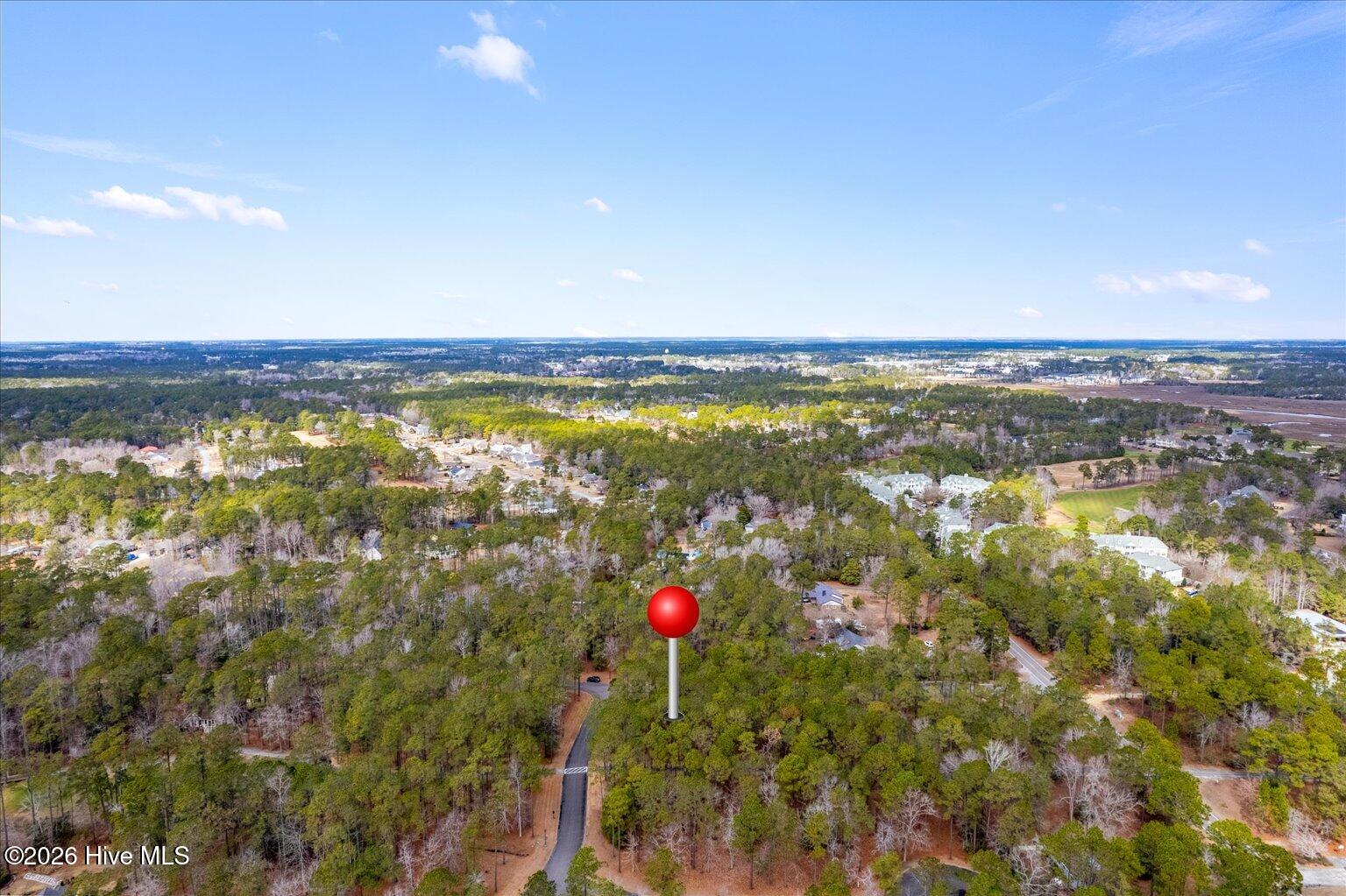 100555112 | Photo 41