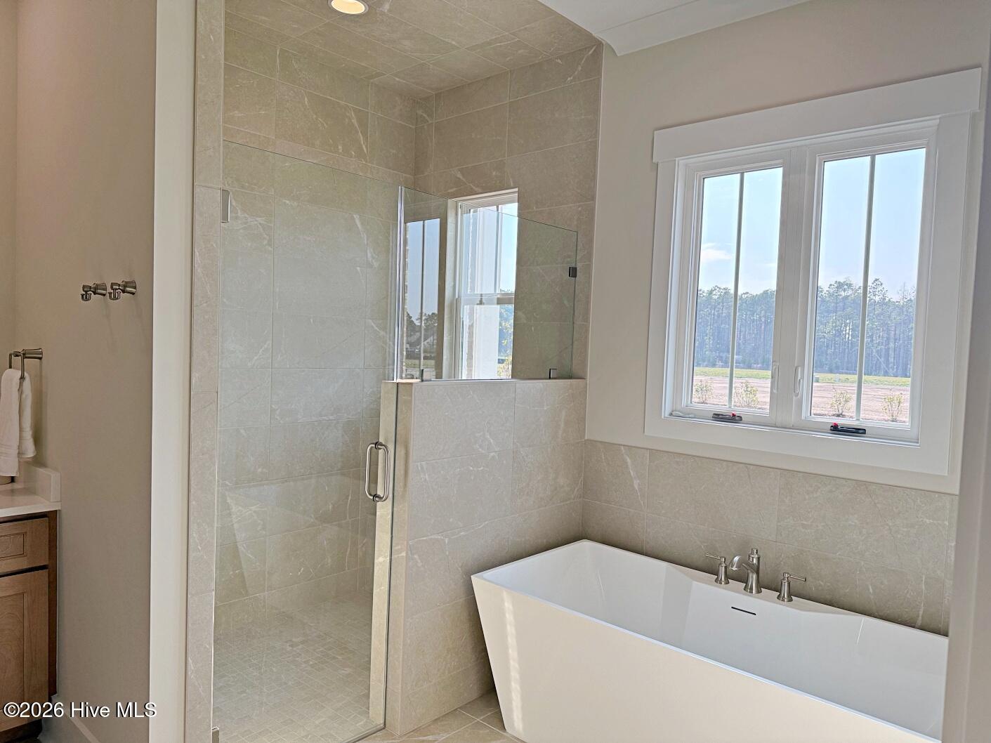 100537171 | Photo 12