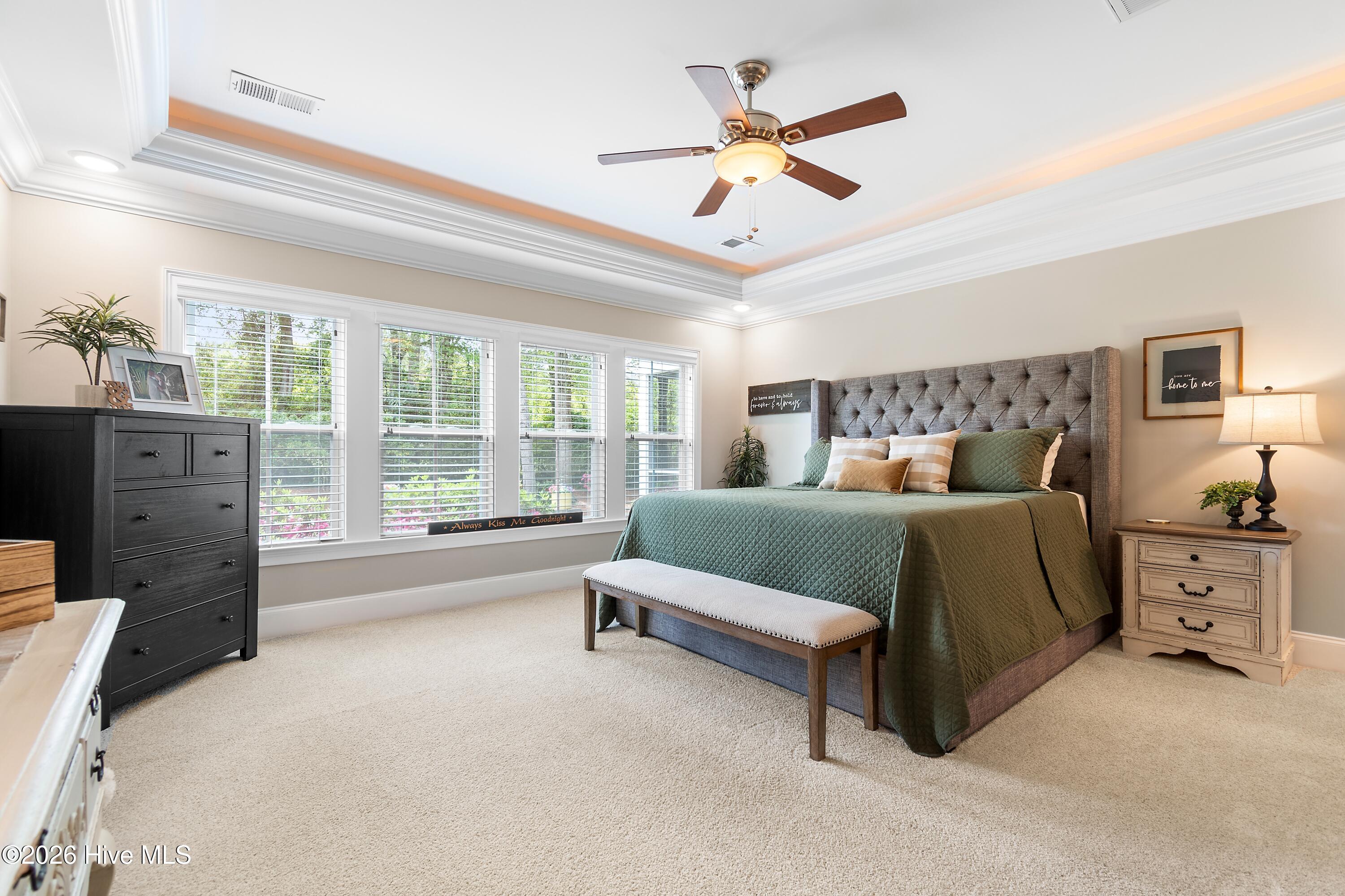 100565384 | Photo 30