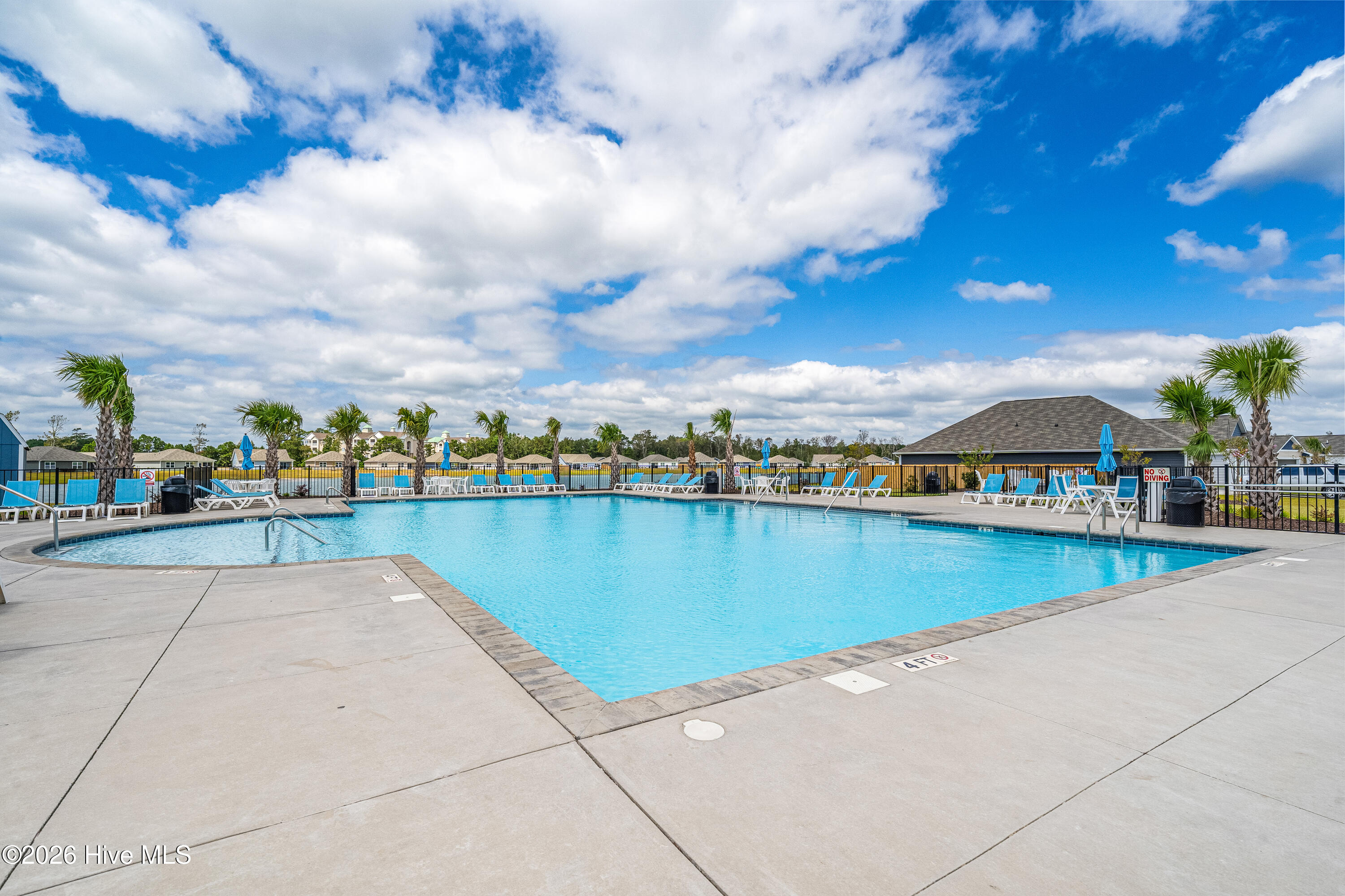 100566439 | Photo 17