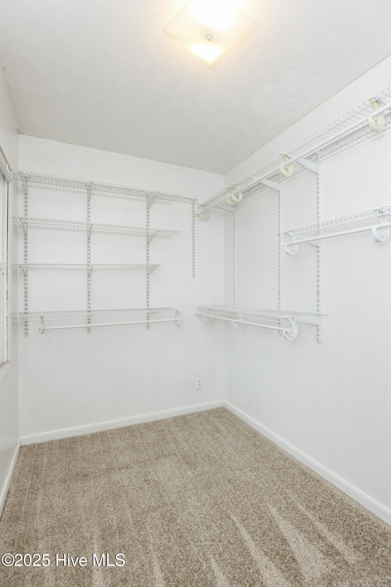 100546143 | Photo 15