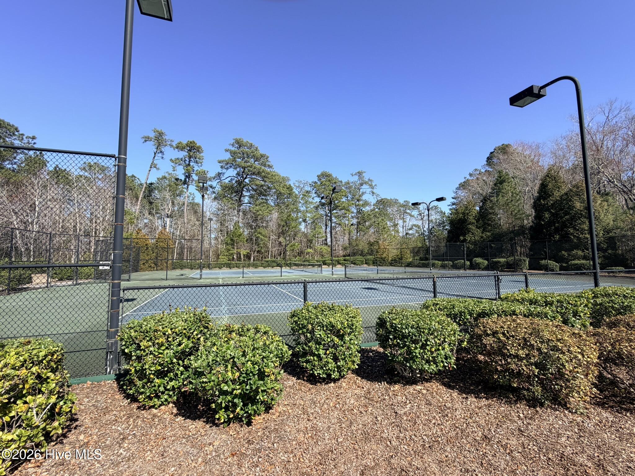 100558778 | Photo 35