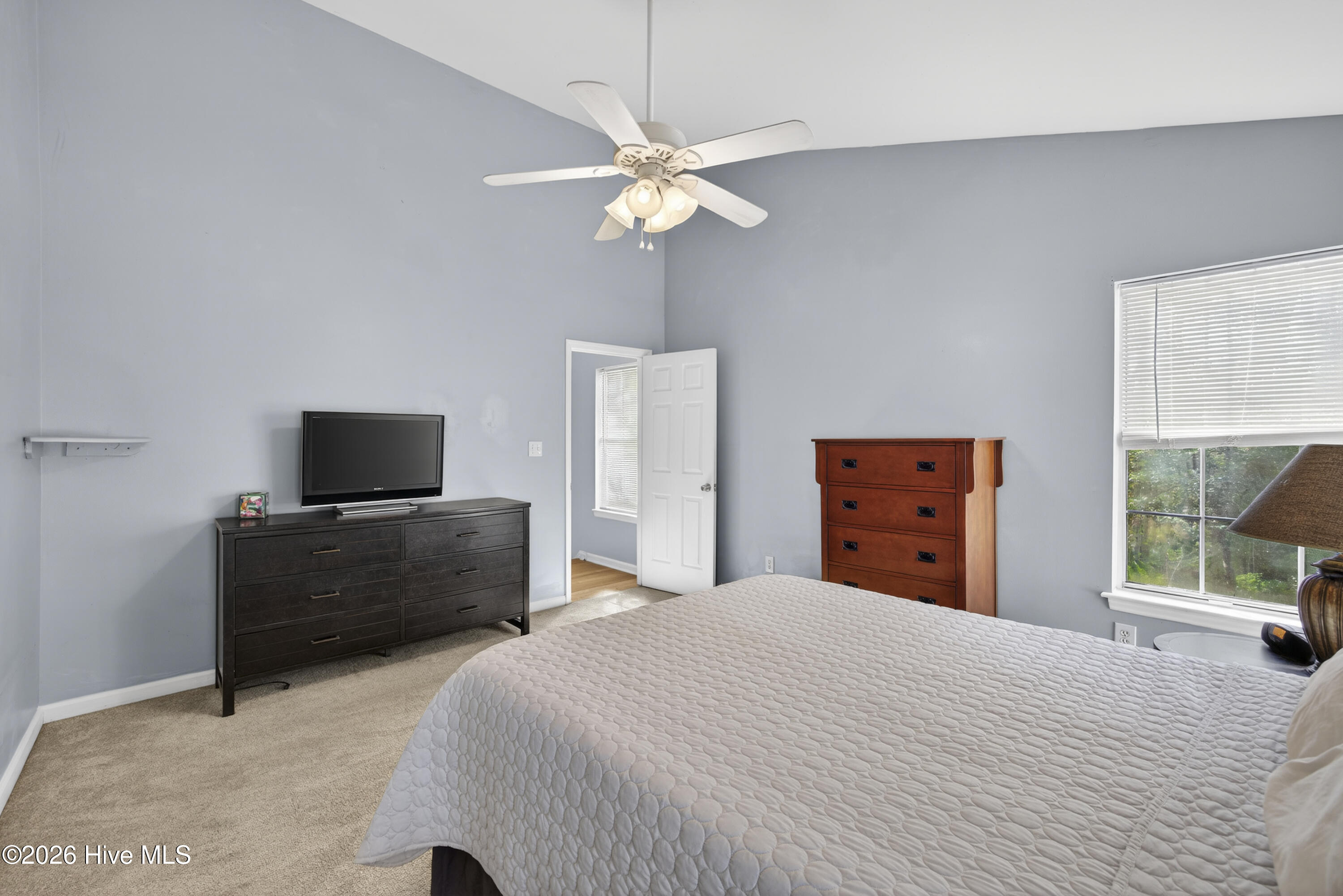 100550573 | Photo 29