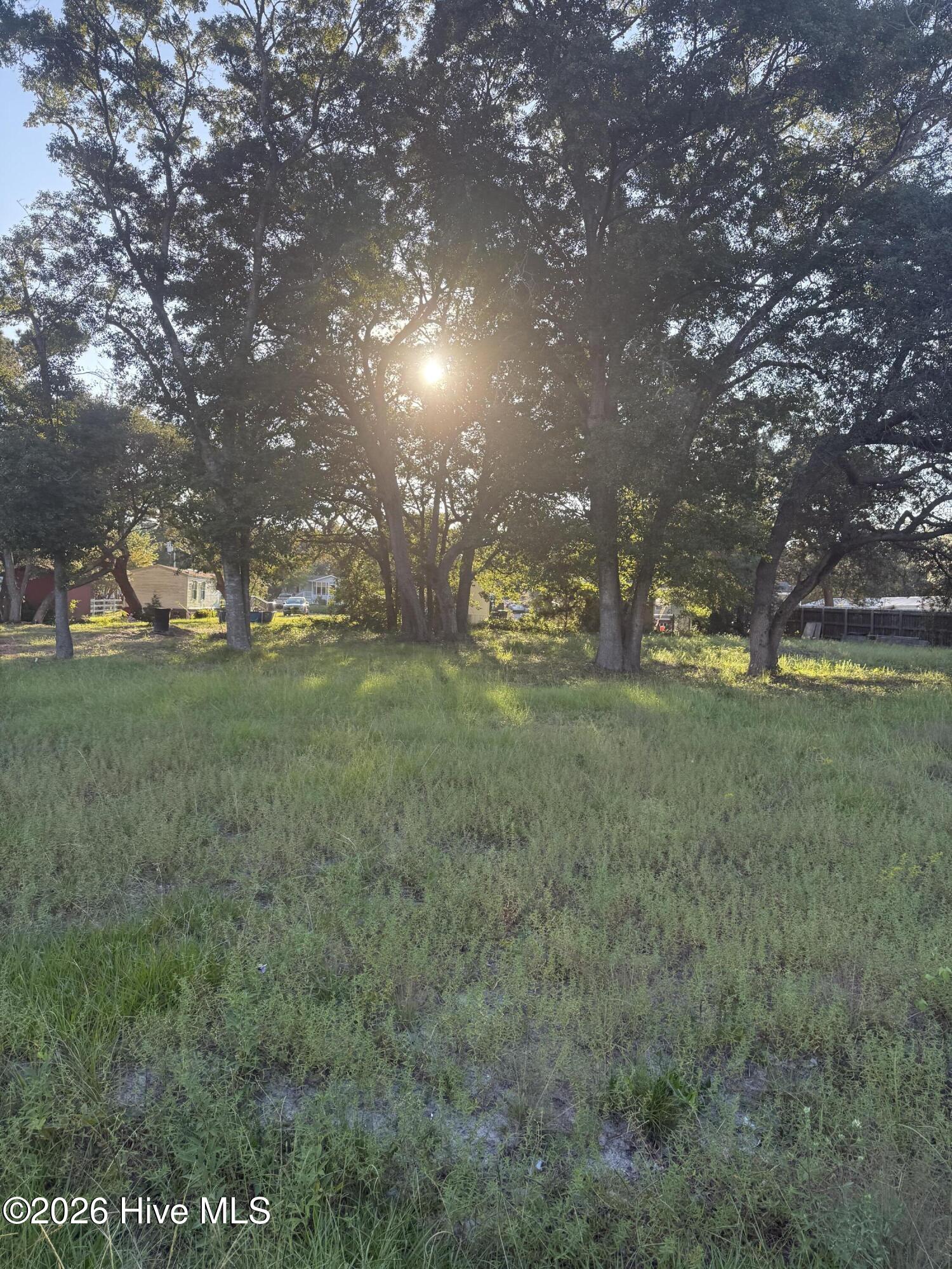 100604395 | Photo 3