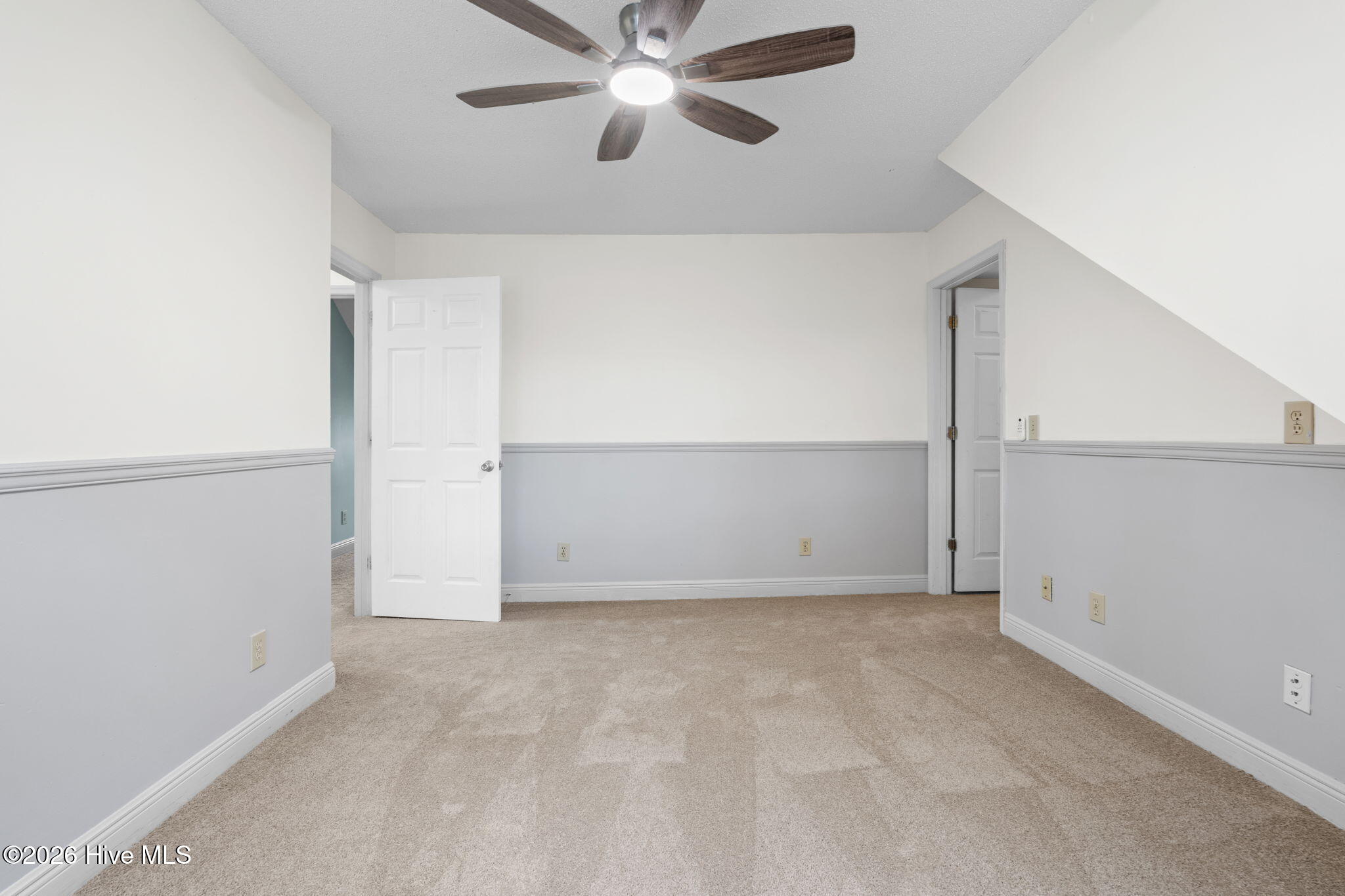 100564721 | Photo 47