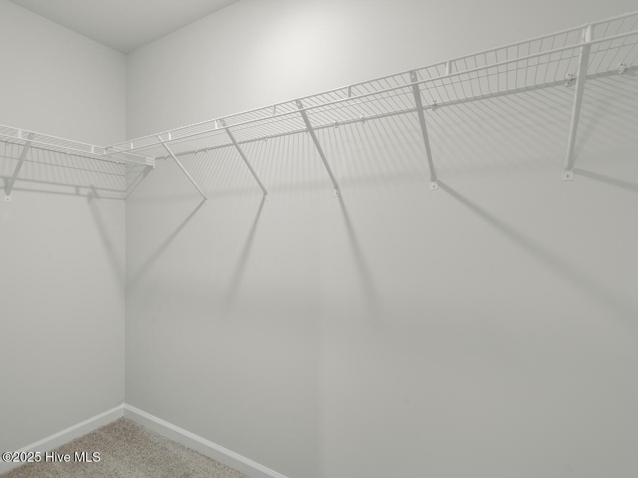 100486486 | Photo 24