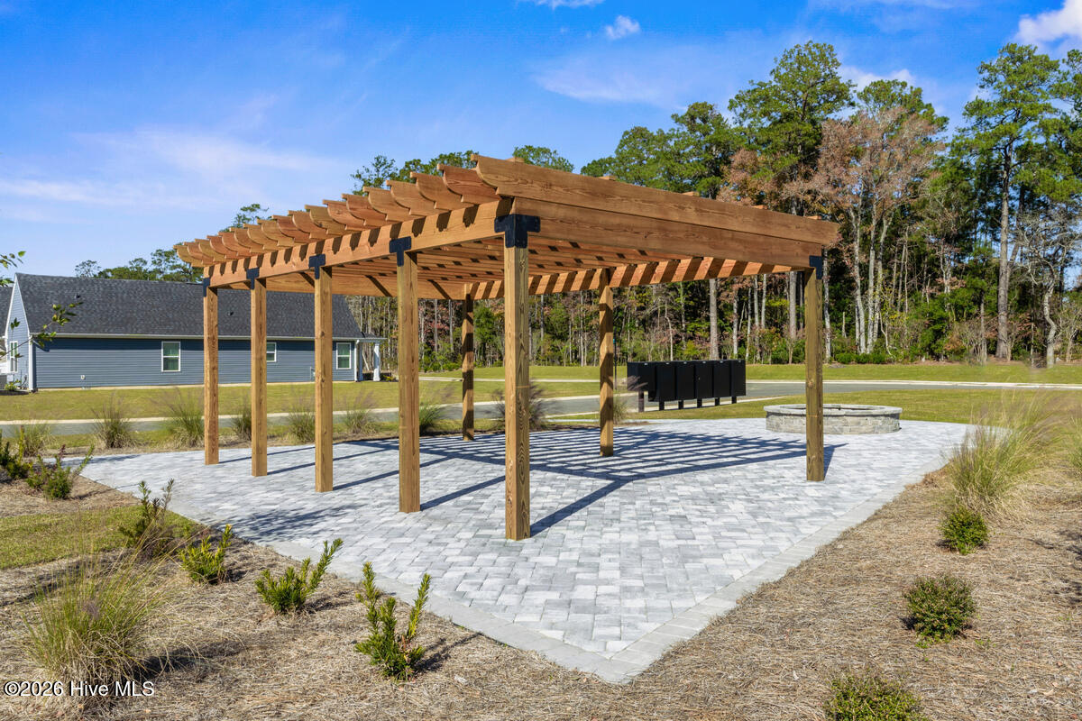 100558534 | Photo 23